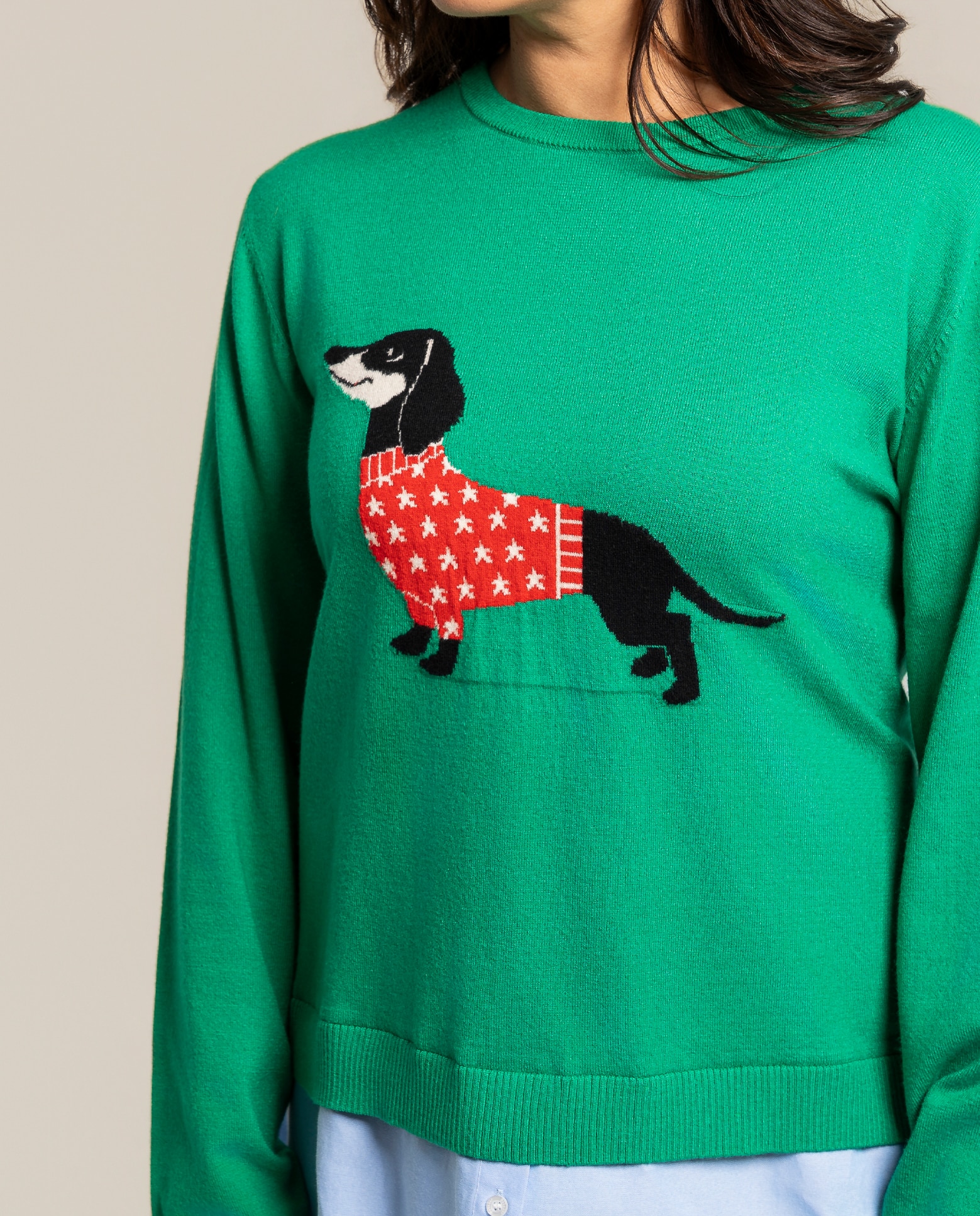 Jersey estampado de perro con lunares - October - Verde Verde-3