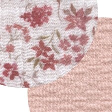 Rosa Colorete