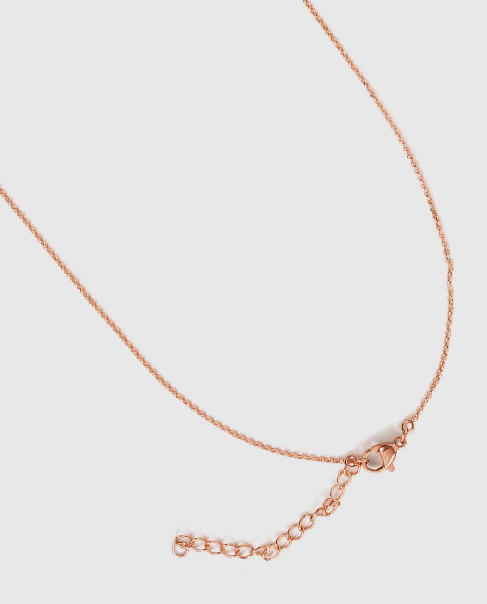 Collar acabado en oro 18k con circonita brillante - Luxenter - Rosa Rosa-7