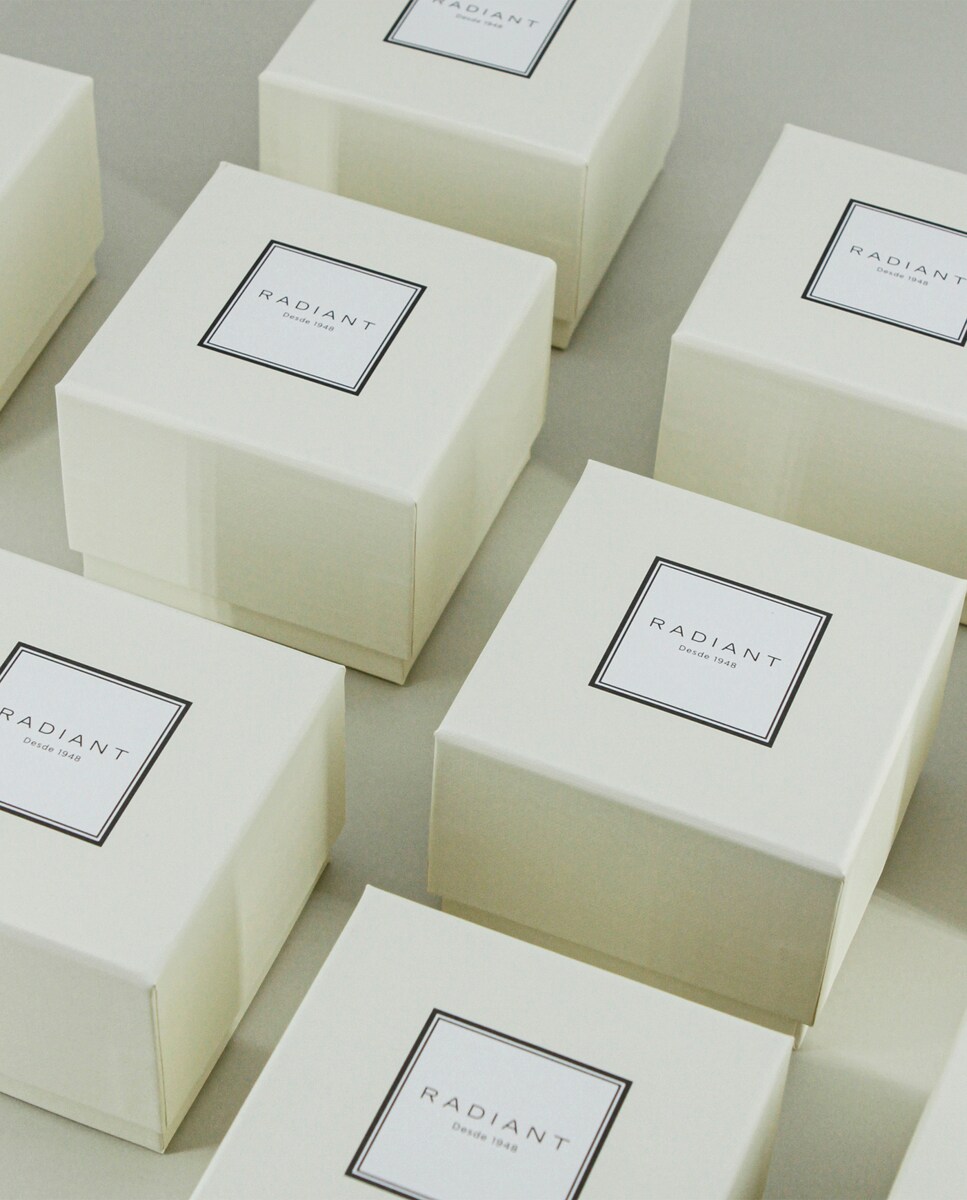 Reloj de mujer Legacy RA642201 de acero y correa plateada/gris