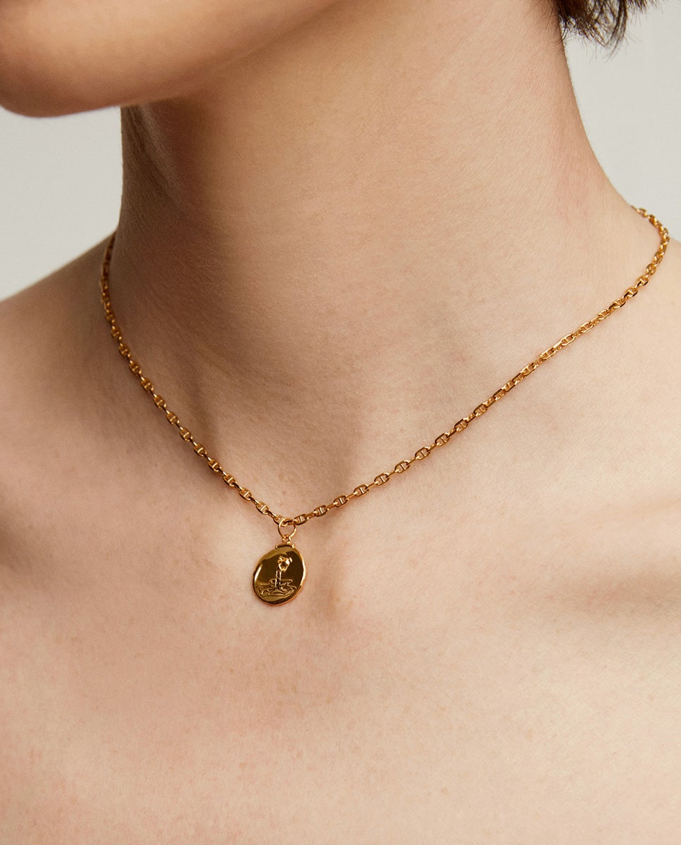 Charm acuario de plata 925 bañada en amarillo de 18k - Aristocrazy - Oro Oro-2