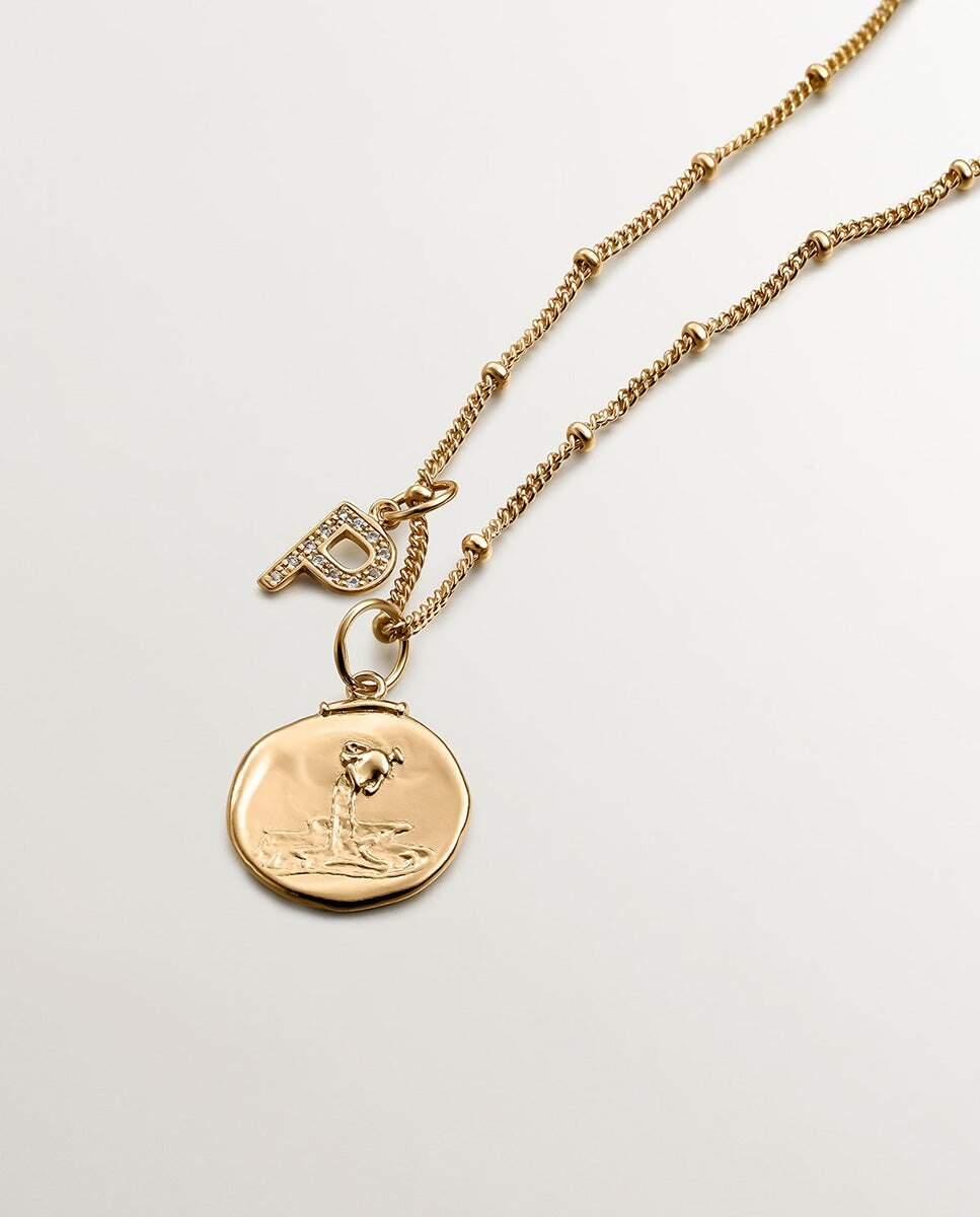 Charm acuario de plata 925 bañada en amarillo de 18k - Aristocrazy - Oro Oro-5