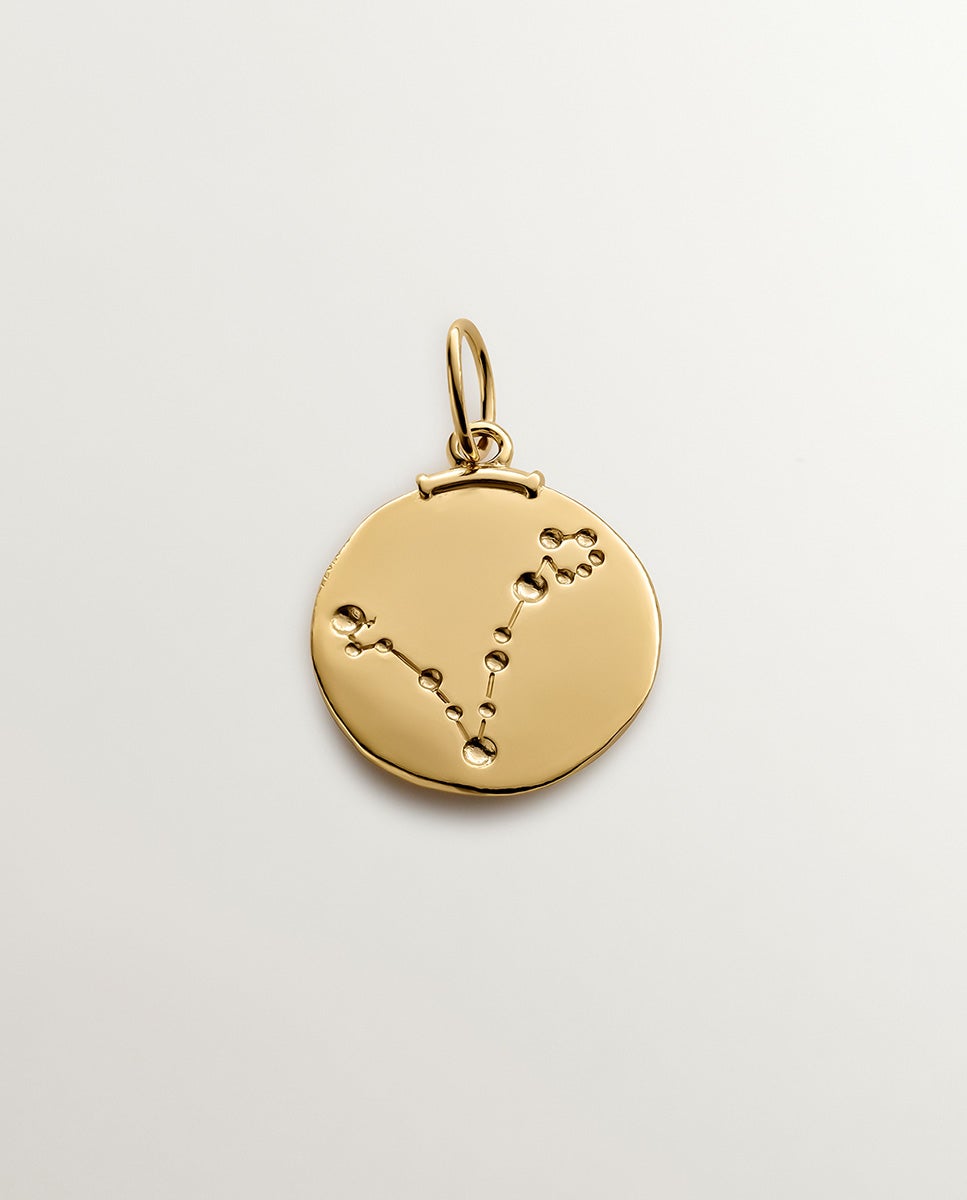 Charm piscis de plata 925 bañada en amarillo de 18k - Aristocrazy - Oro Oro-3