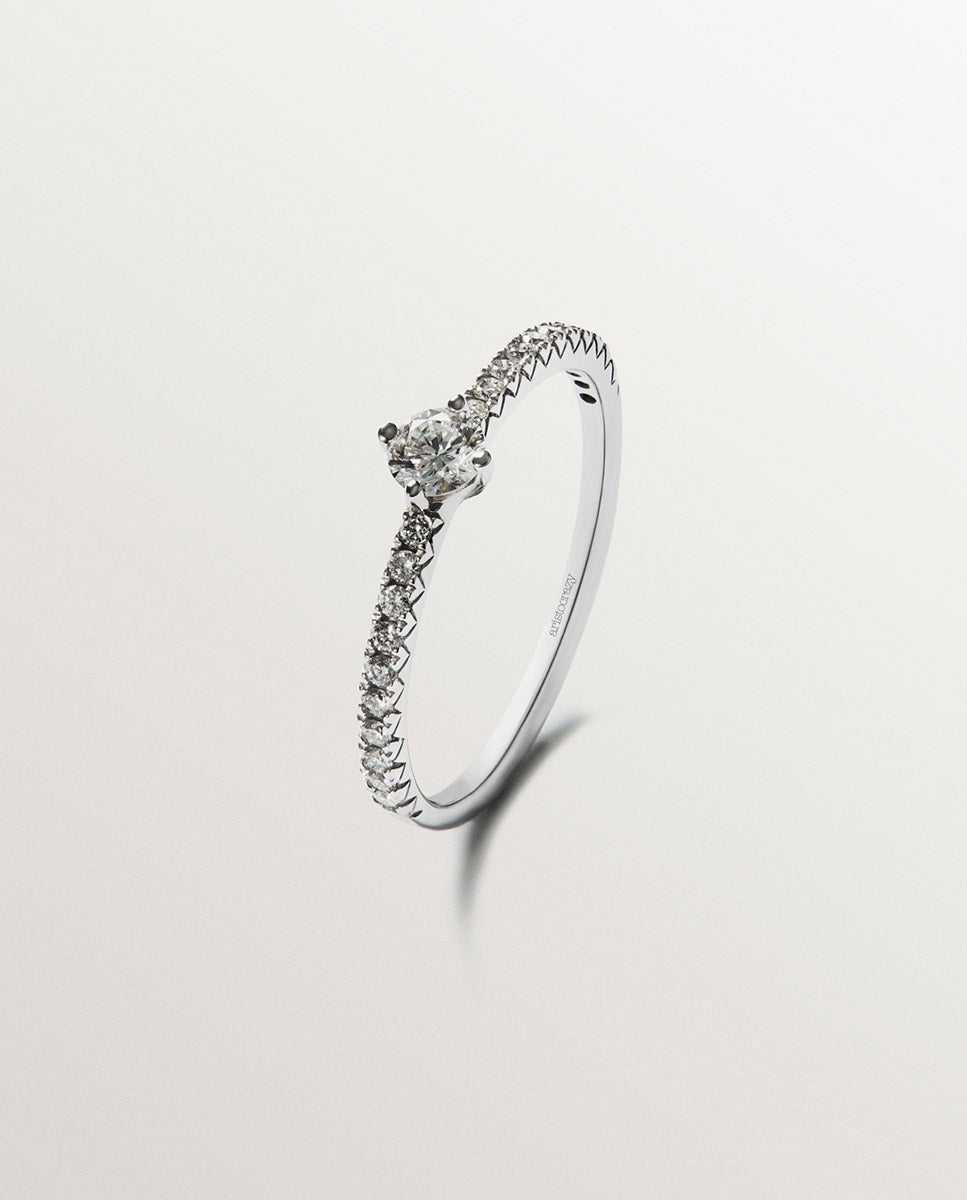Anillo de oro blanco de 18k con brazo de diamantes y diamante central 0,23 cts - Aristocrazy - Plata Plata-1