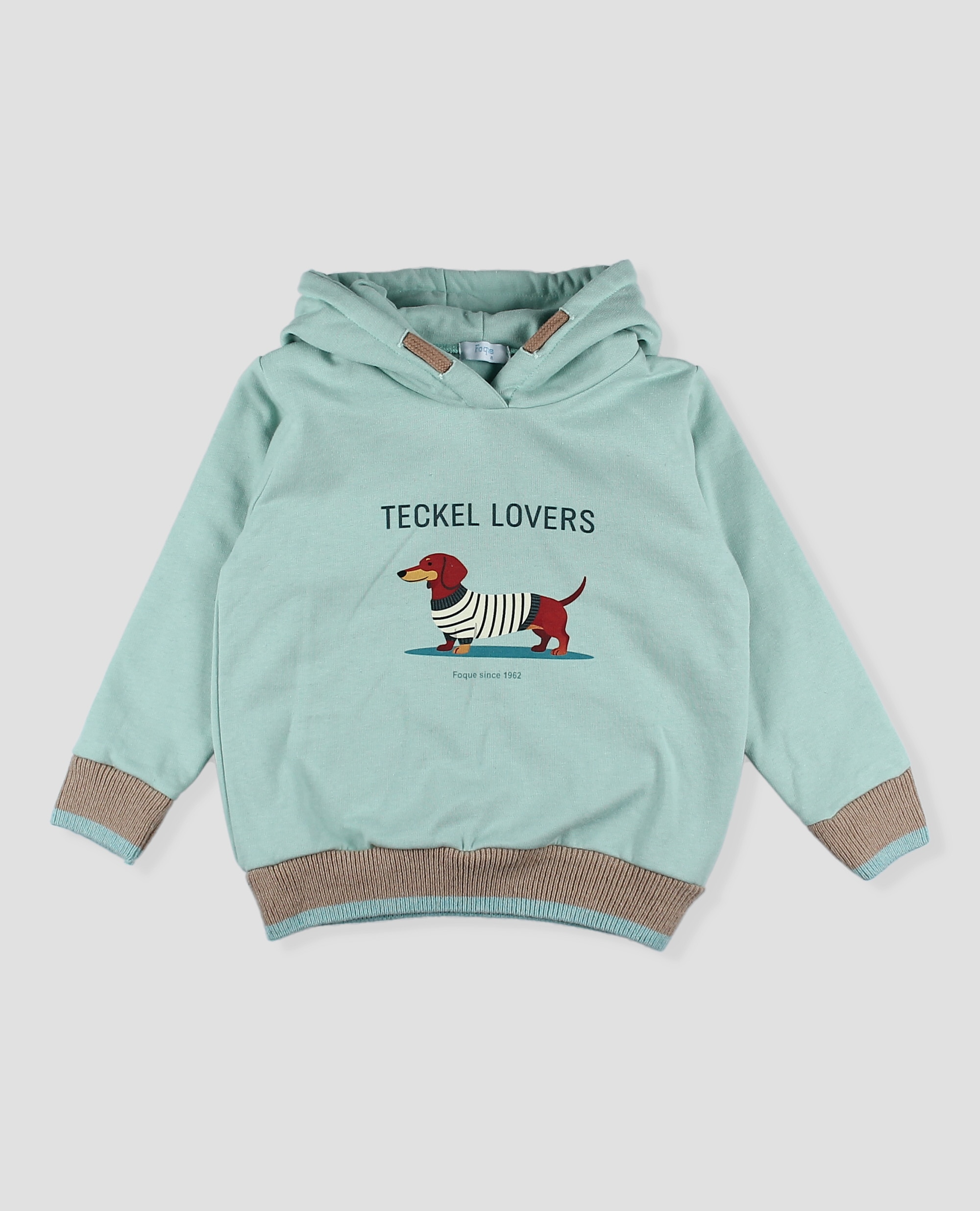 Imagen 4 de Sudadera niño de algodón con capucha y dibujo de teckel - Foque - Verde Agua Verde Agua
