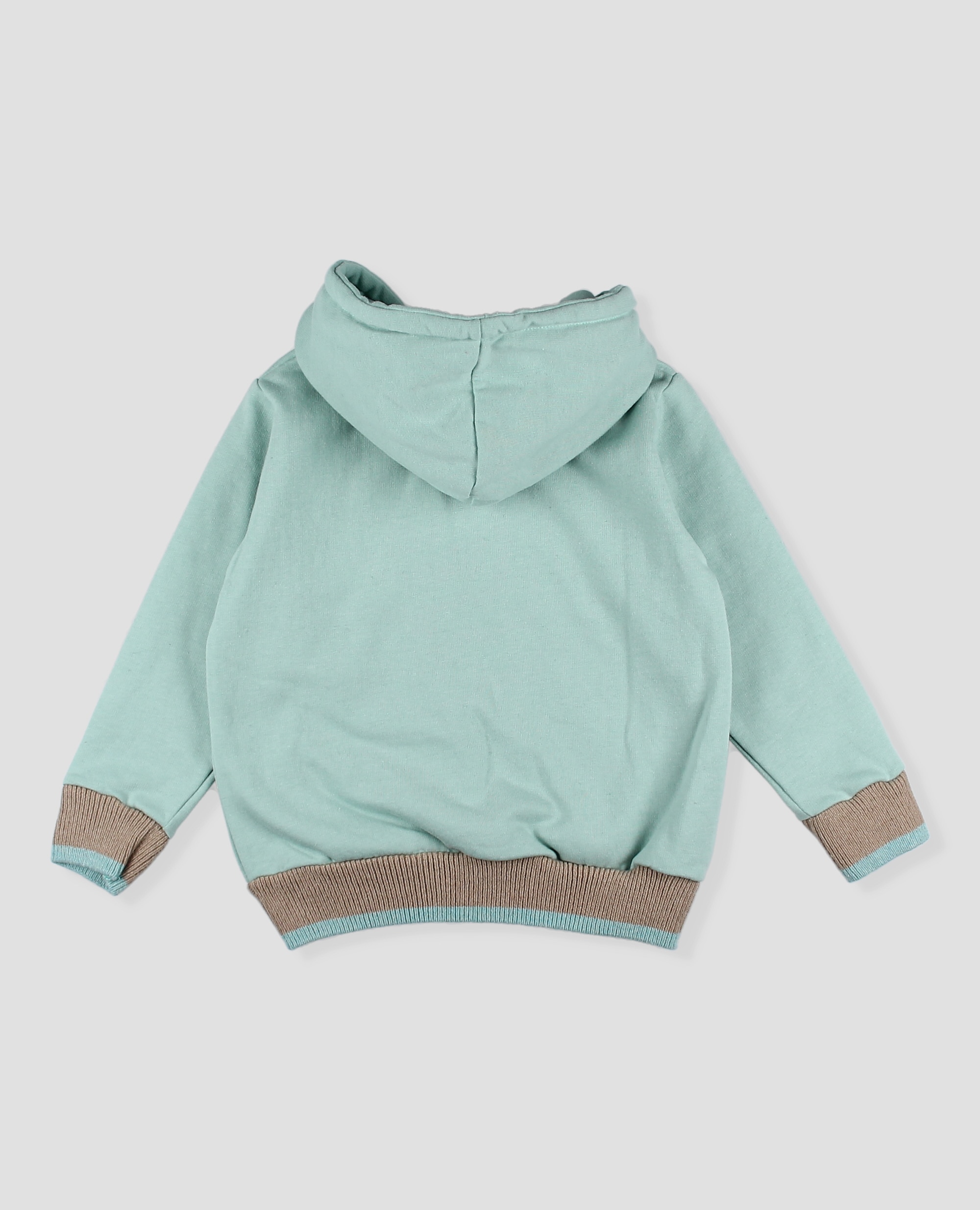 Sudadera bebé niño de algodón con capucha y dibujo de teckel - Foque - Verde Agua Verde Agua-3