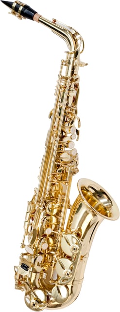 Imagen 0 de Saxo Alto Oqan Oas-615