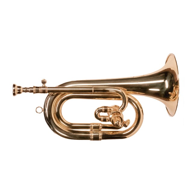 Imagen 0 de Corneta Oqan OCT-100