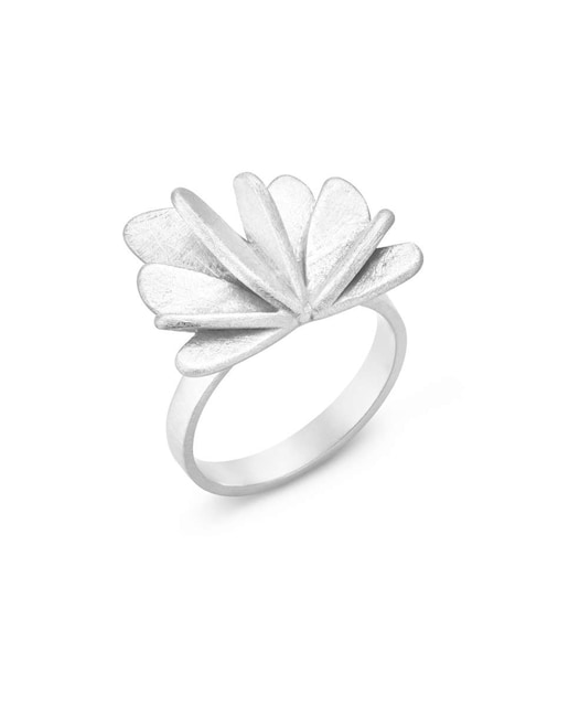 Imagen 0 de Anillo Vol de plata