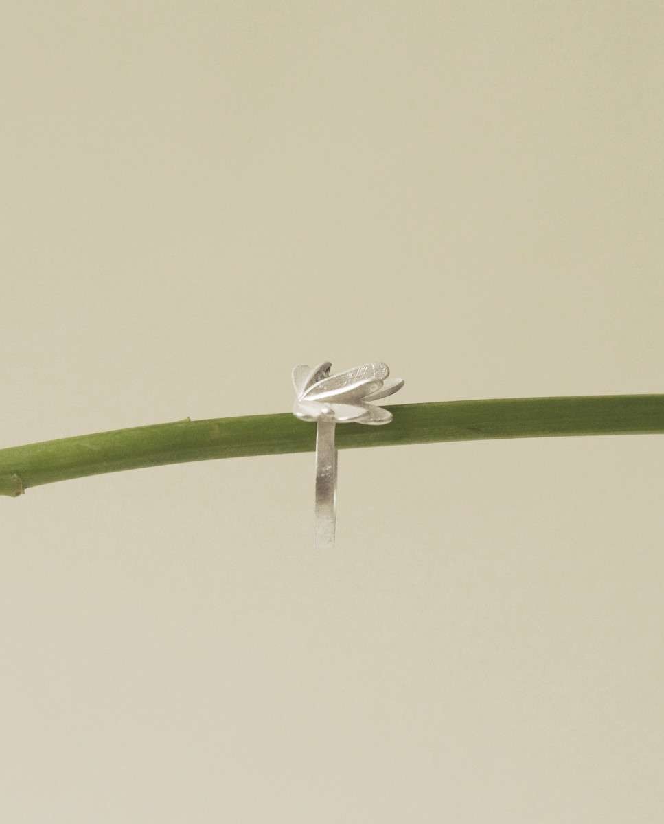 Anillo vol de - Joidart - Plata Plata-3