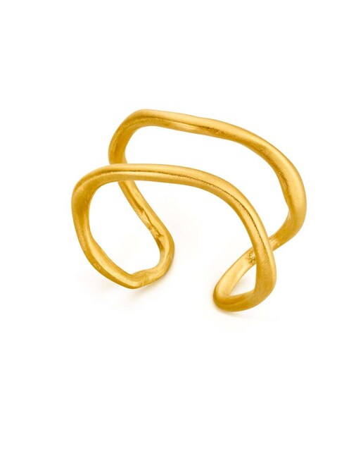 Imagen 0 de Anillo dorado Culip