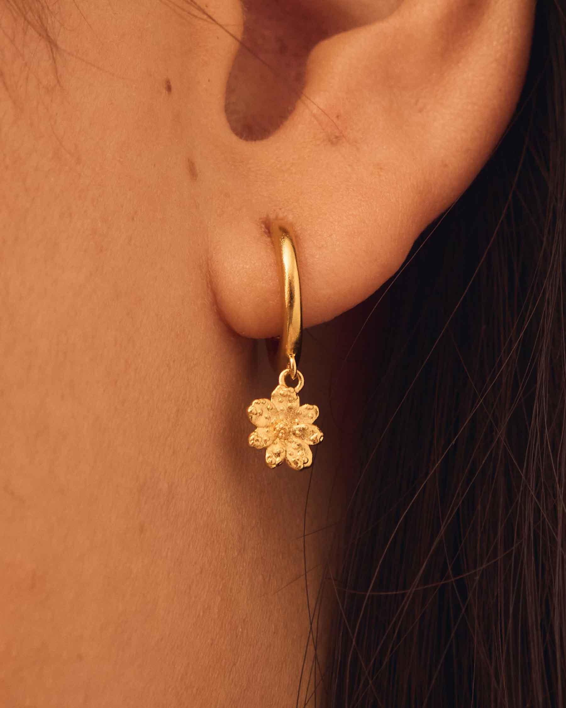 Pendientes de aro zinia - Apodemia - Dorado Dorado-3