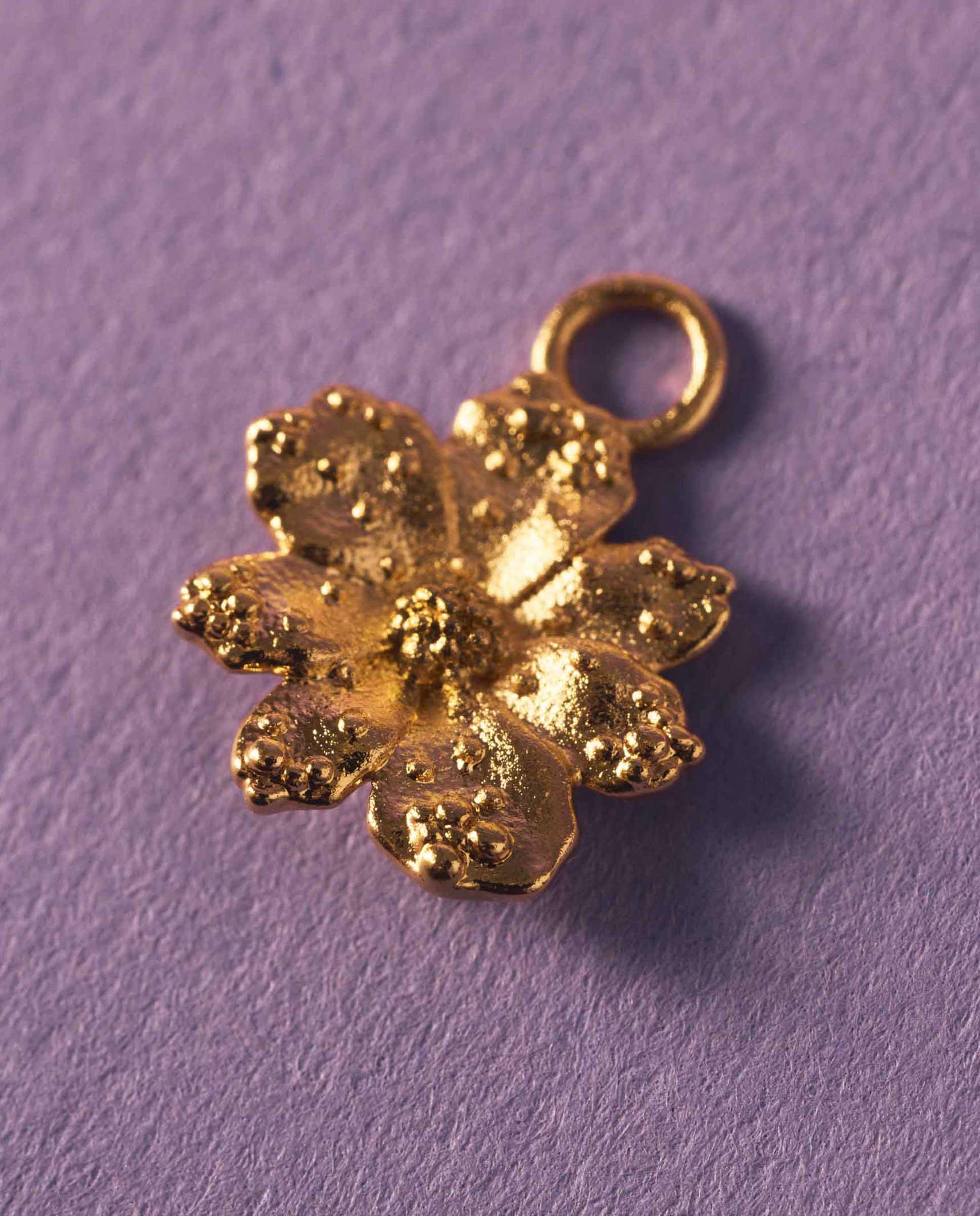Charm  zinnia motivo flor Multicolor Apodemia Multicolor-2