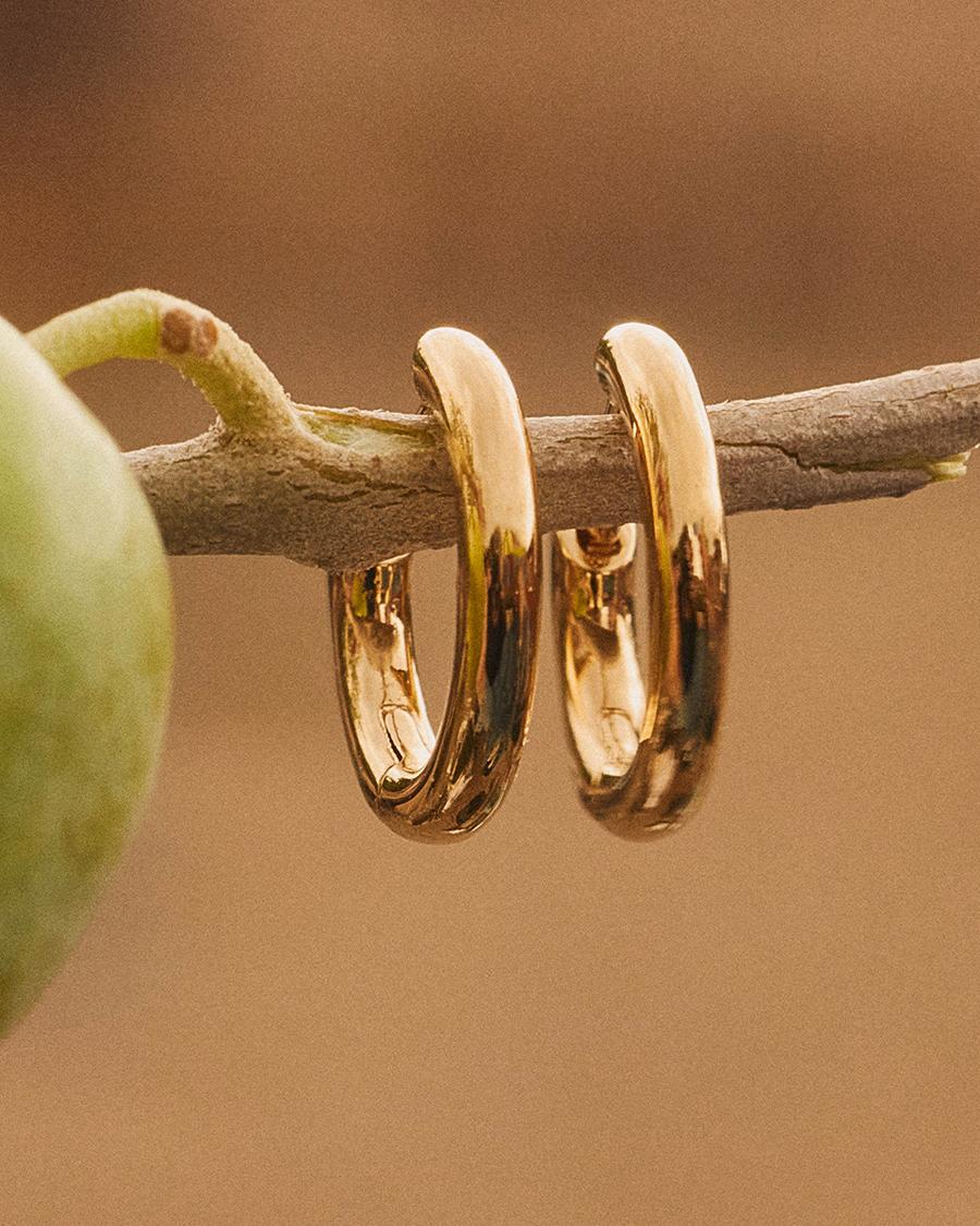 Pendientes de aro mini con diseño liso - Apodemia - Dorado Dorado-2