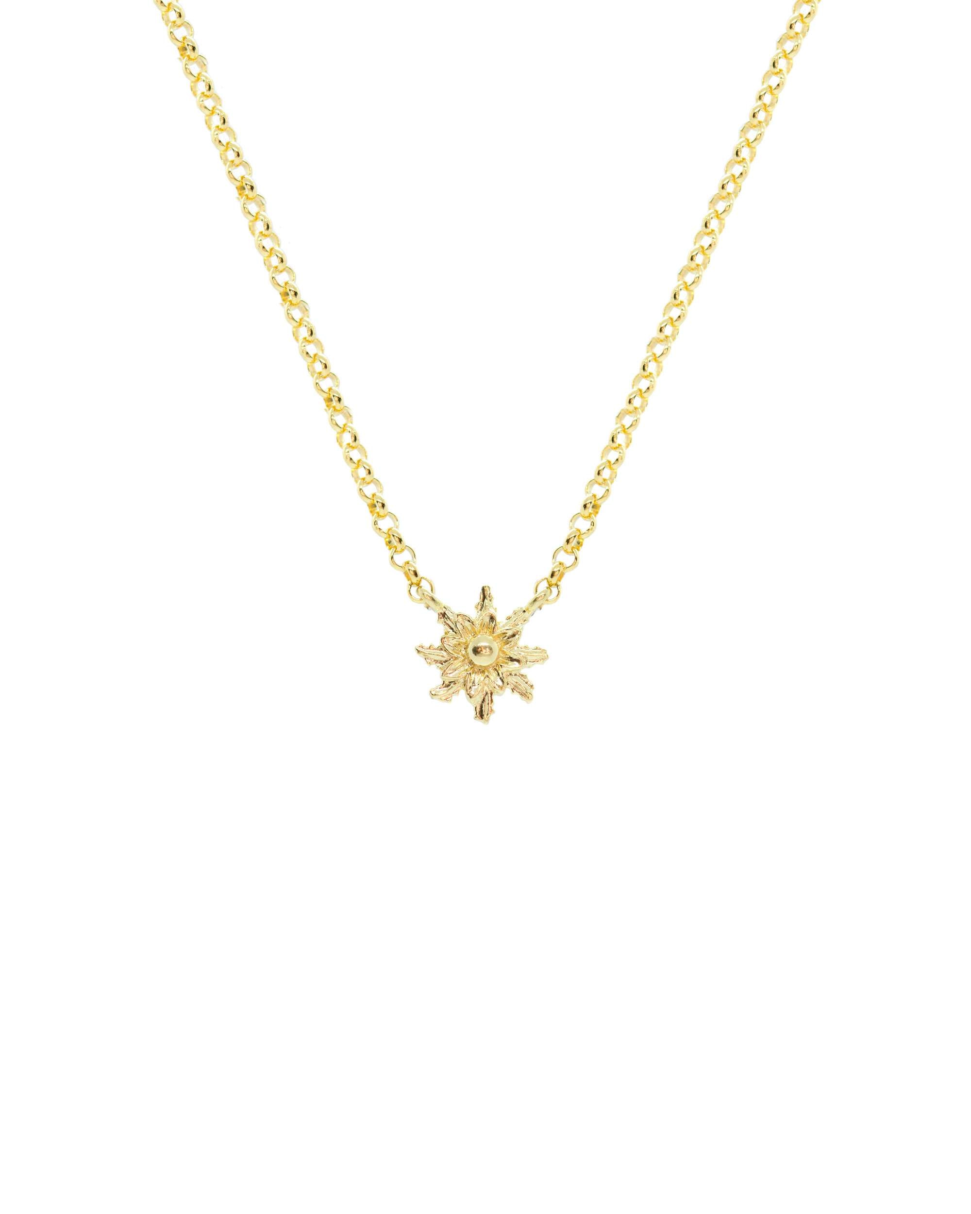 Imagen 0 de Collar con motivo eguzkilore de plata dorada 8mm Dorado