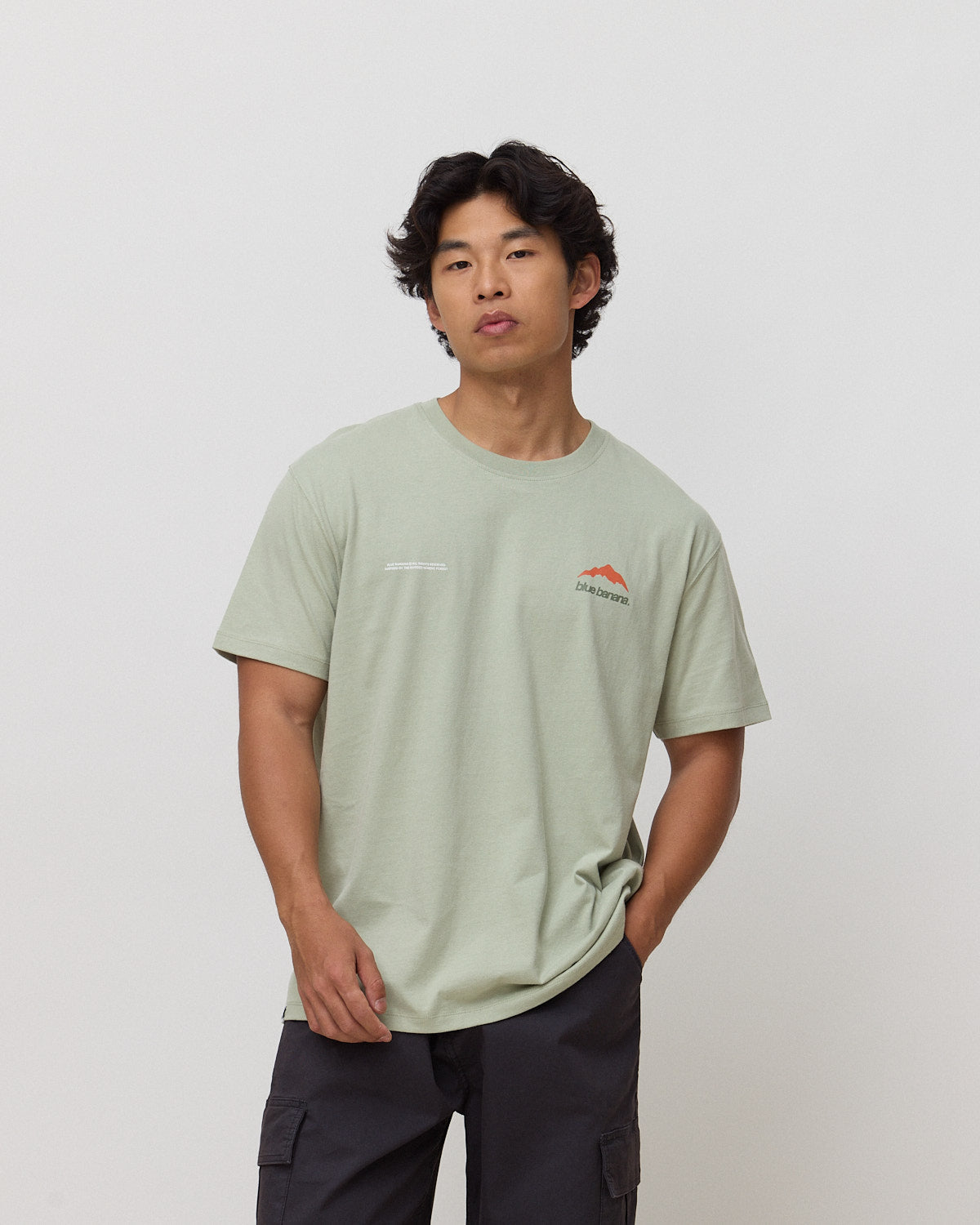 Imagen 1 de Camiseta de hombre de 100% algodón orgánico mountain sage Verde claro