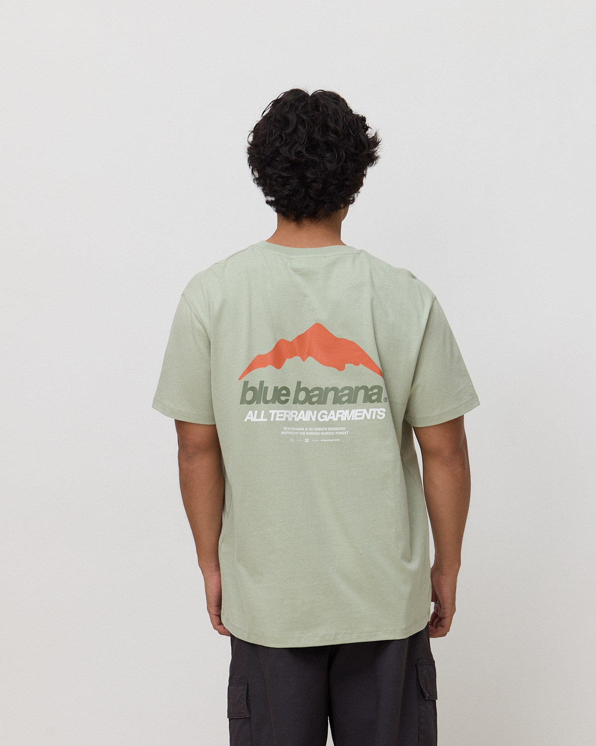 Imagen 2 de Camiseta de hombre de 100% algodón orgánico mountain sage - Blue Banana - Verde claro Verde claro