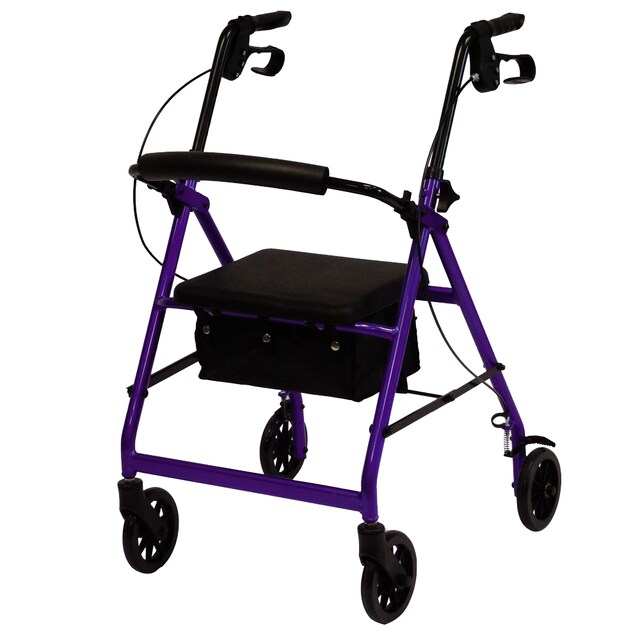 Imagen 0 de Andador rollator especial artritis Herdegen