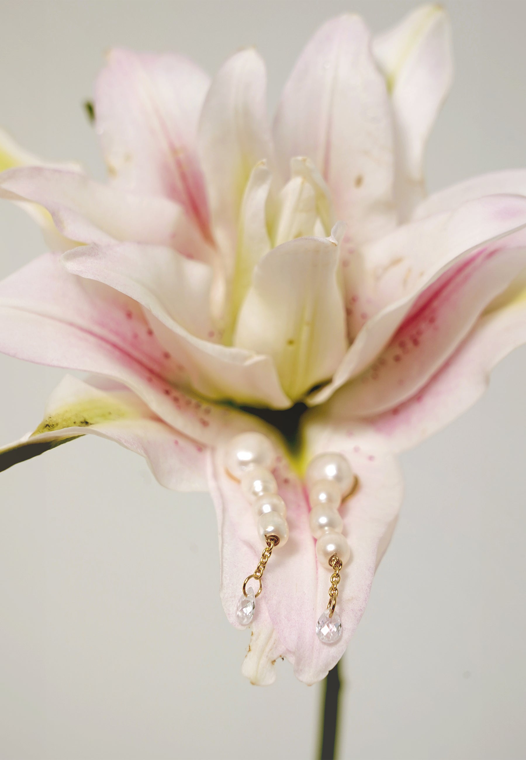 Imagen 5 de Pendientes bañados en oro con perlas mini brisa - Lavani Jewels - Blanco Blanco