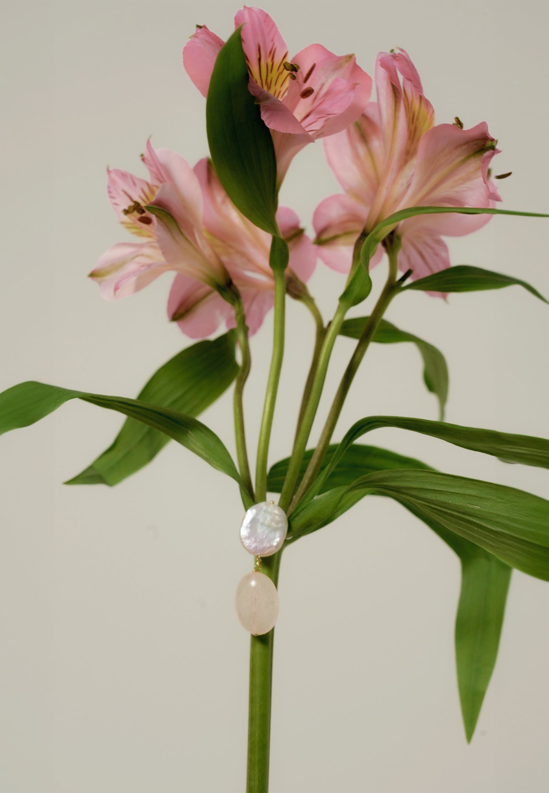 Pendientes bañados en oro con cuarzo laia - Lavani Jewels - Rosa Rosa-3