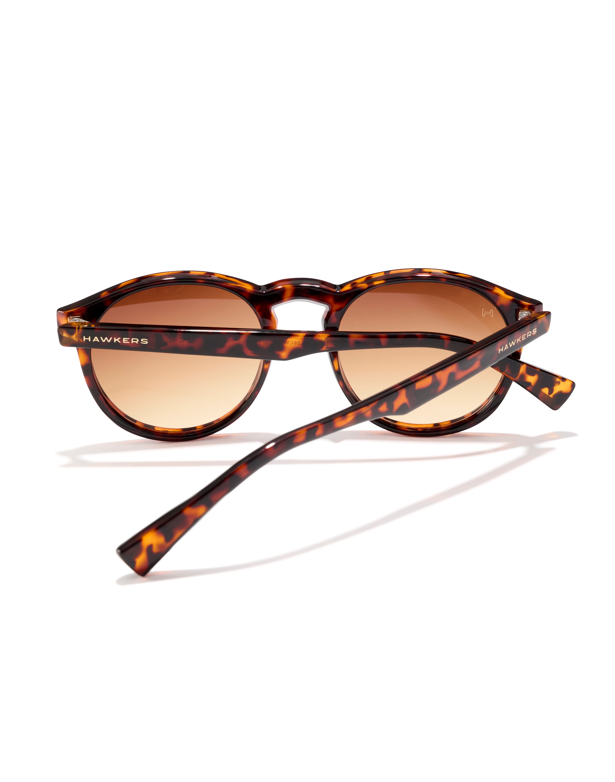 Gafas de sol aperol - Hawkers - brown forest - Marrón Marrón-5
