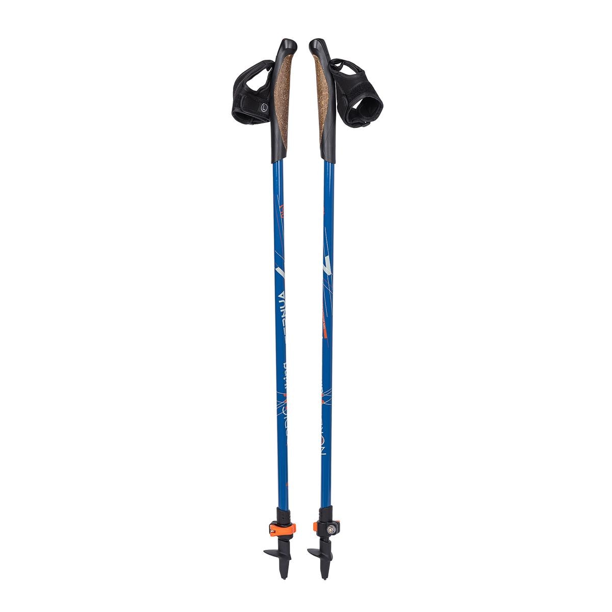 Ternua - Bastón de Trekking Walking pole Ternua.