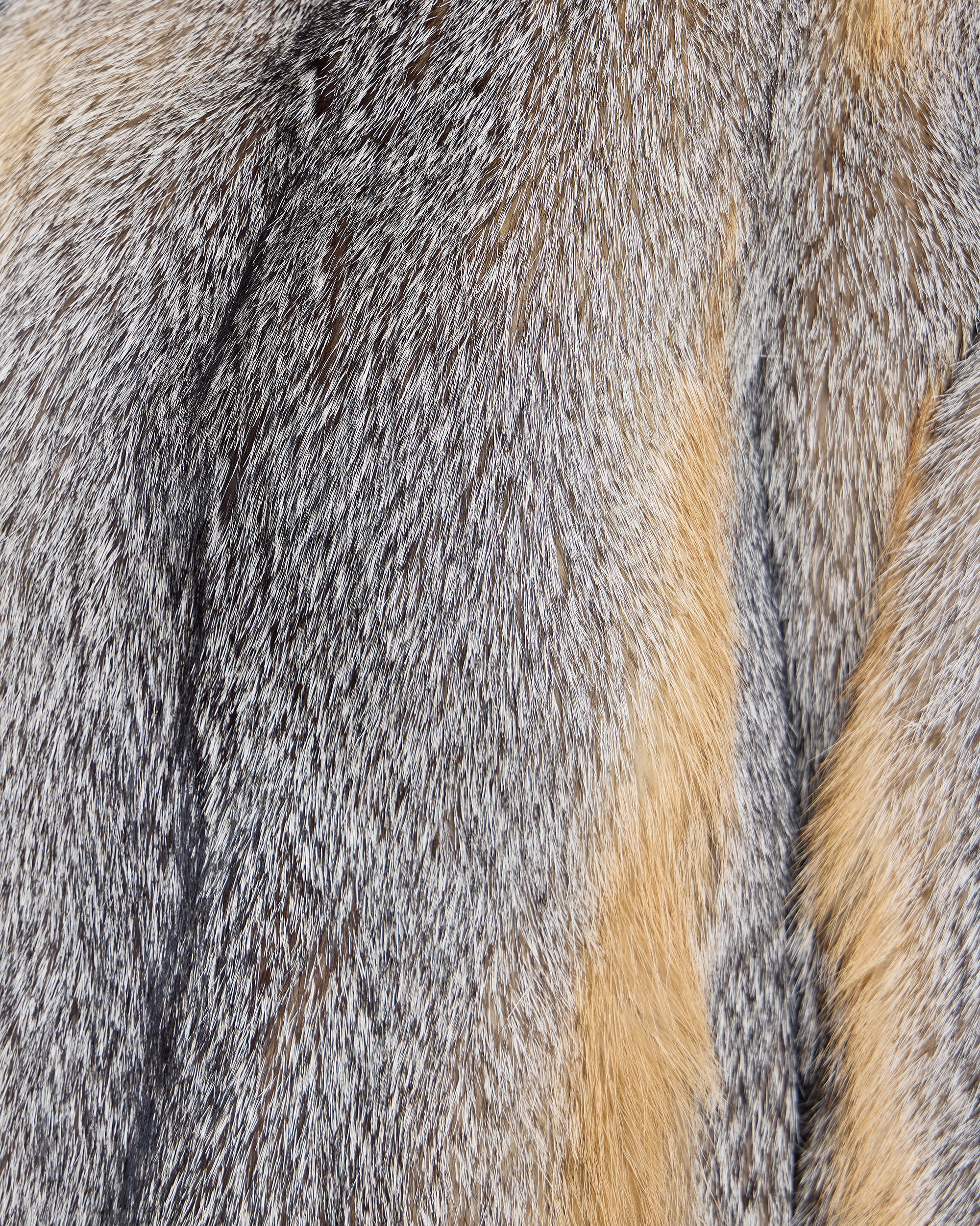 Chaqueta de pelo de mujer de zorro con capucha - Maximilian - Natural Natural-5