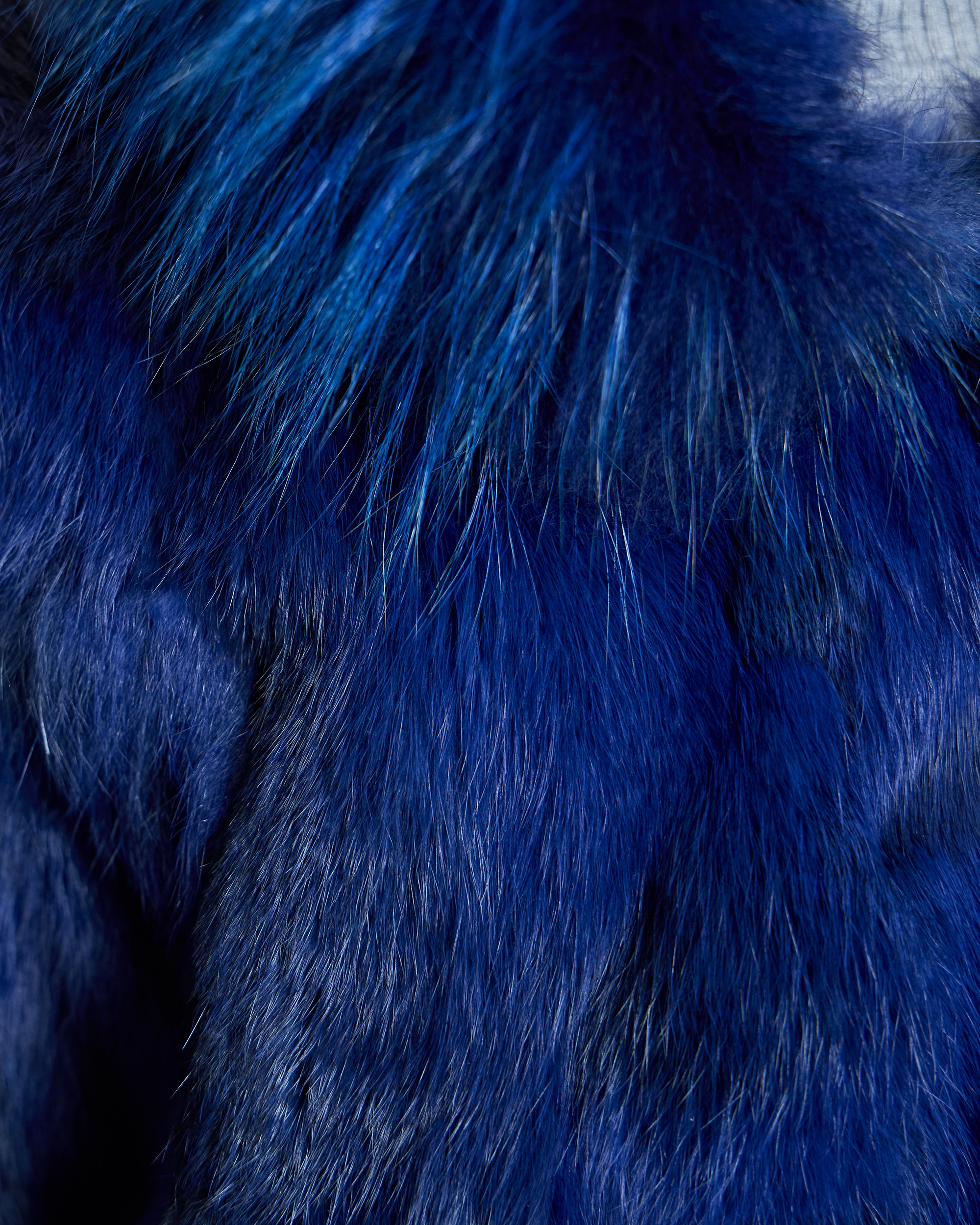 Chaqueta de mujer de pelo de conejo con capucha ribeteada en raccoon - Maximilian - Azul marino Azul marino-5