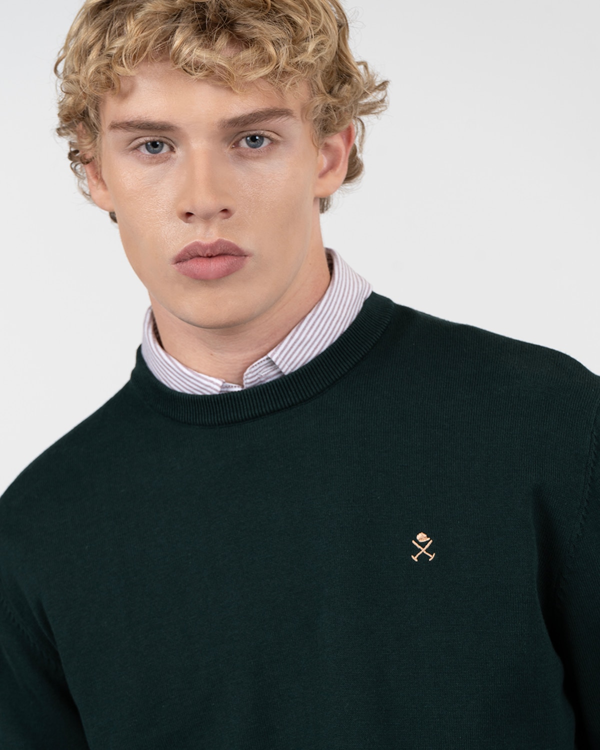 Jersey icon de algodón cuello redondo - Harper & Neyer - Verde oscuro Verde oscuro-4