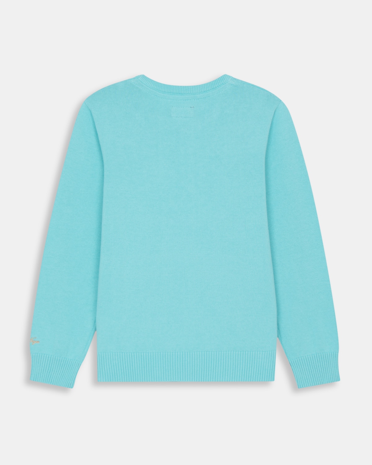 Jersey de niño con cuello redondo con dibujo frontal - Harper & Neyer - Verde Agua Verde Agua-4