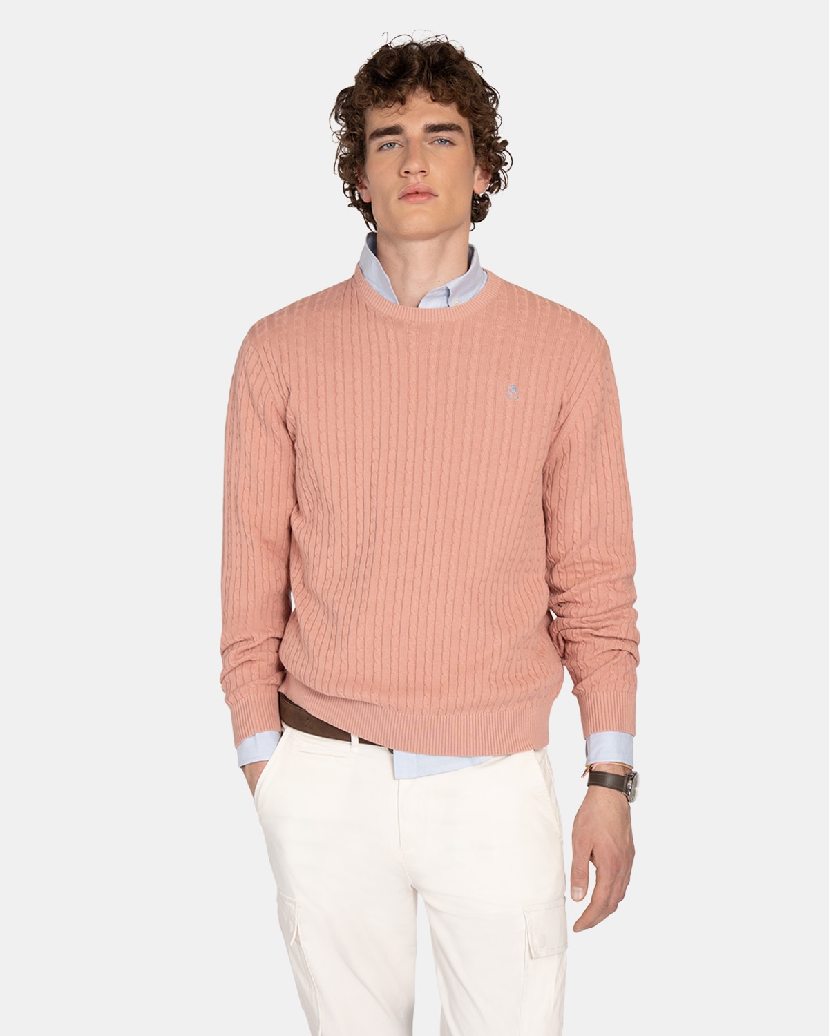 Imagen 1 de Jersey de hombre de algodón con cuello redondo - Harper & Neyer - Azul claro Rosa