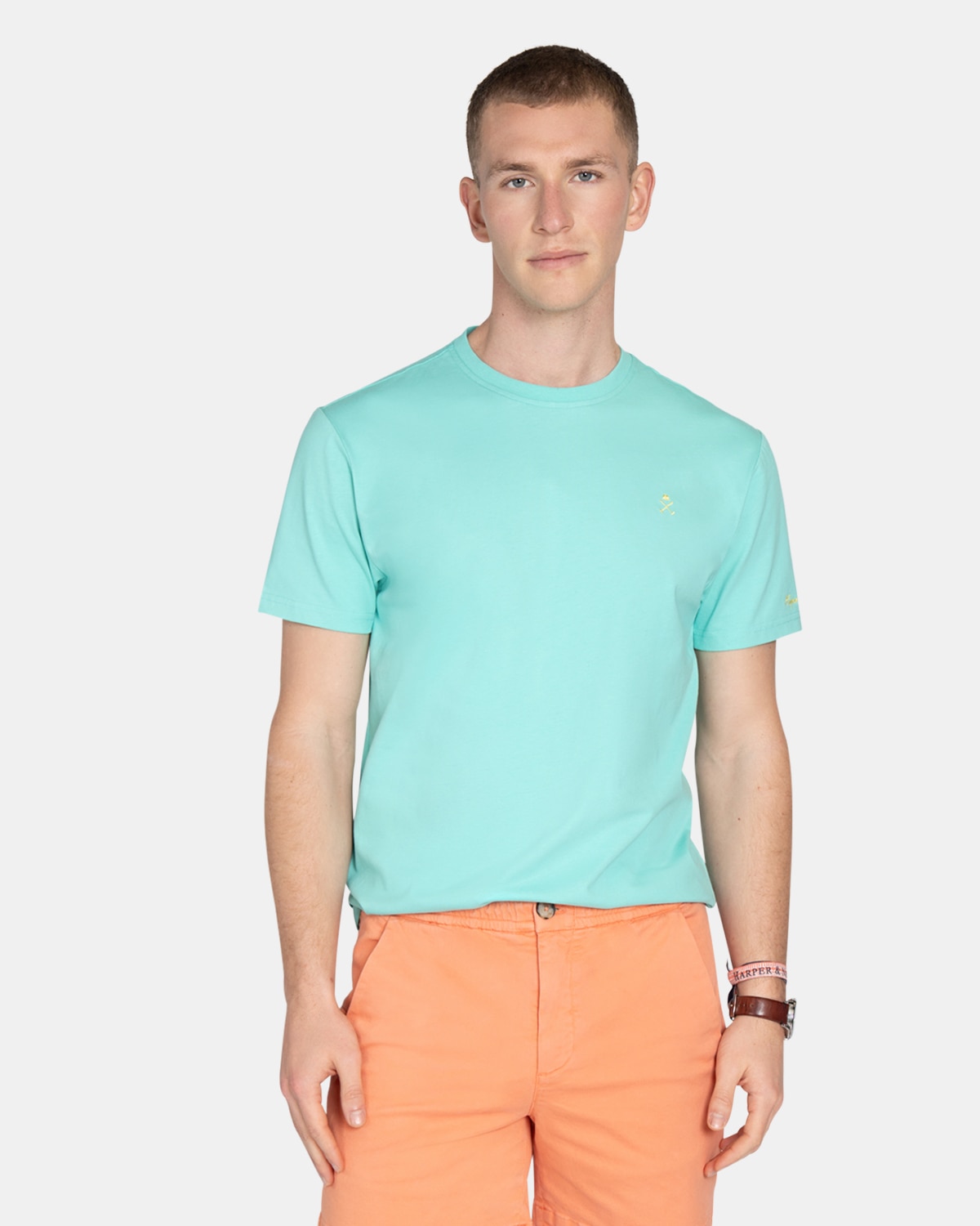 Camiseta de manga corta de hombre con estampado grande - Harper & Neyer - Turquesa Turquesa-1