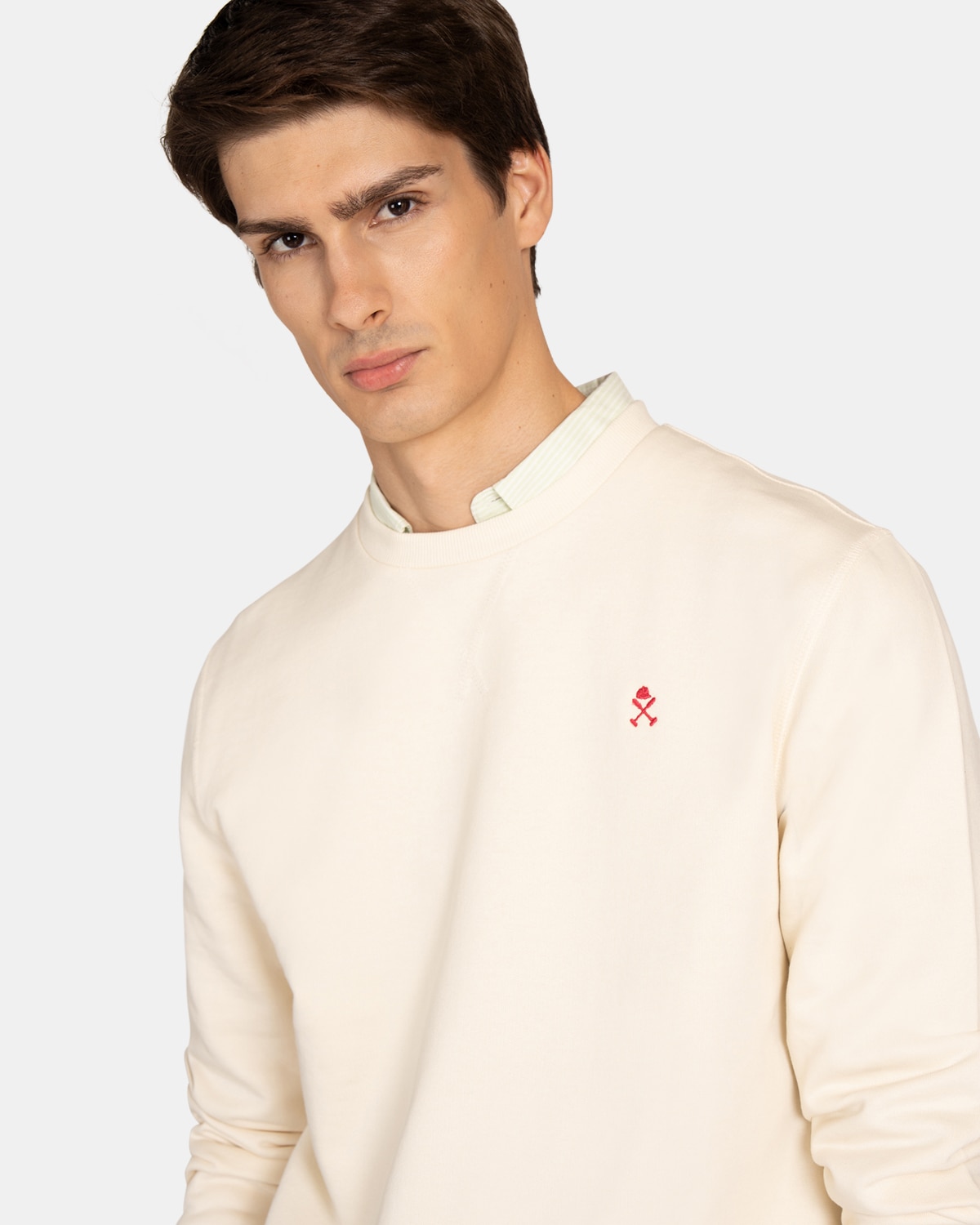 Sudadera sin capucha de hombre con dibujo frontal - Harper & Neyer - Crudo Crudo-3