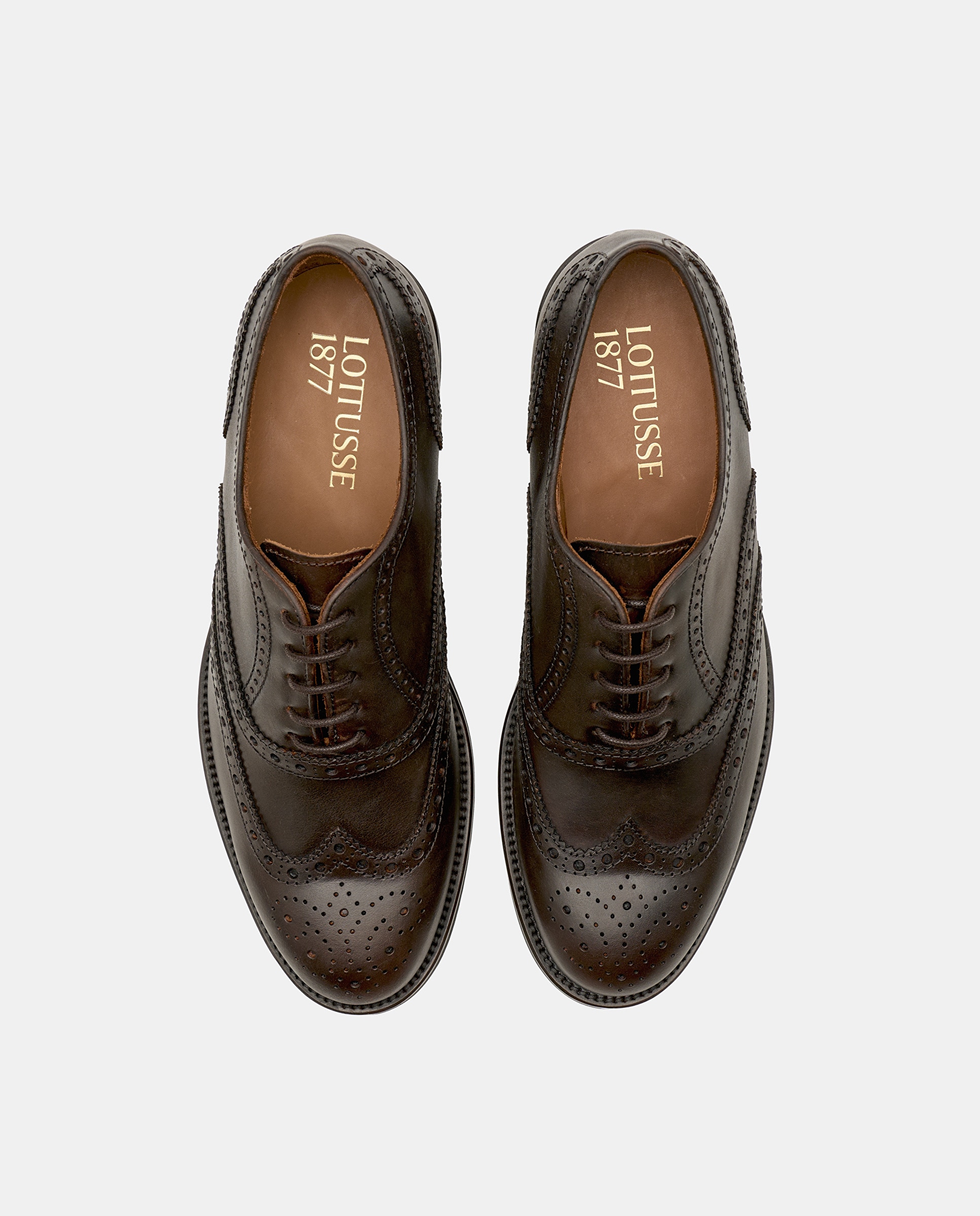 Zapatos de cordones de hombre en piel con pala vega y picados - Lottusse - Marrón Marrón-6