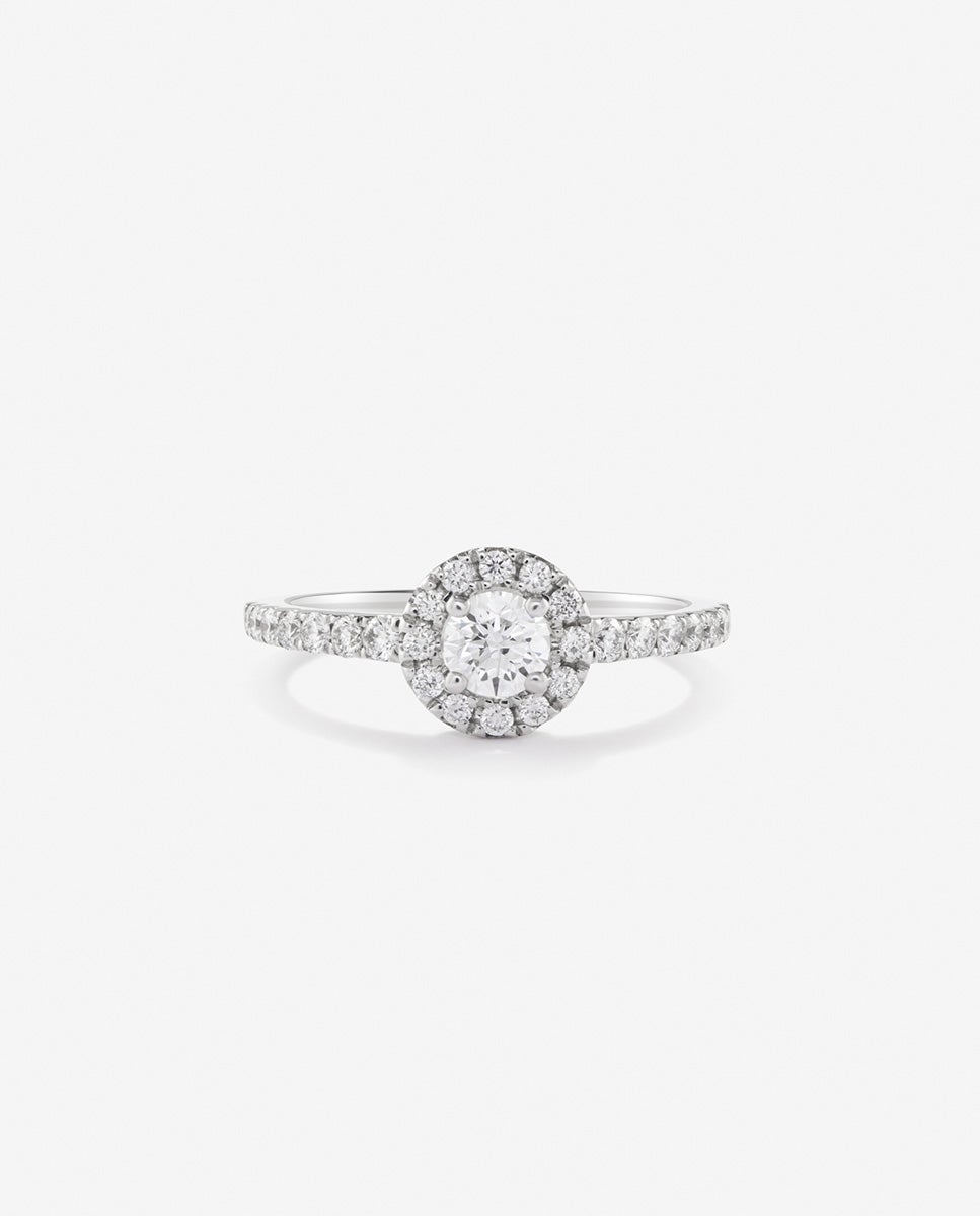 Anillo de oro de 18k con diamante central en talla brillante de 0,15 cts y orla y brazo de 28 diamantes en talla brillante con un total de 0,3 cts - SUAREZ - Blanco Blanco-3