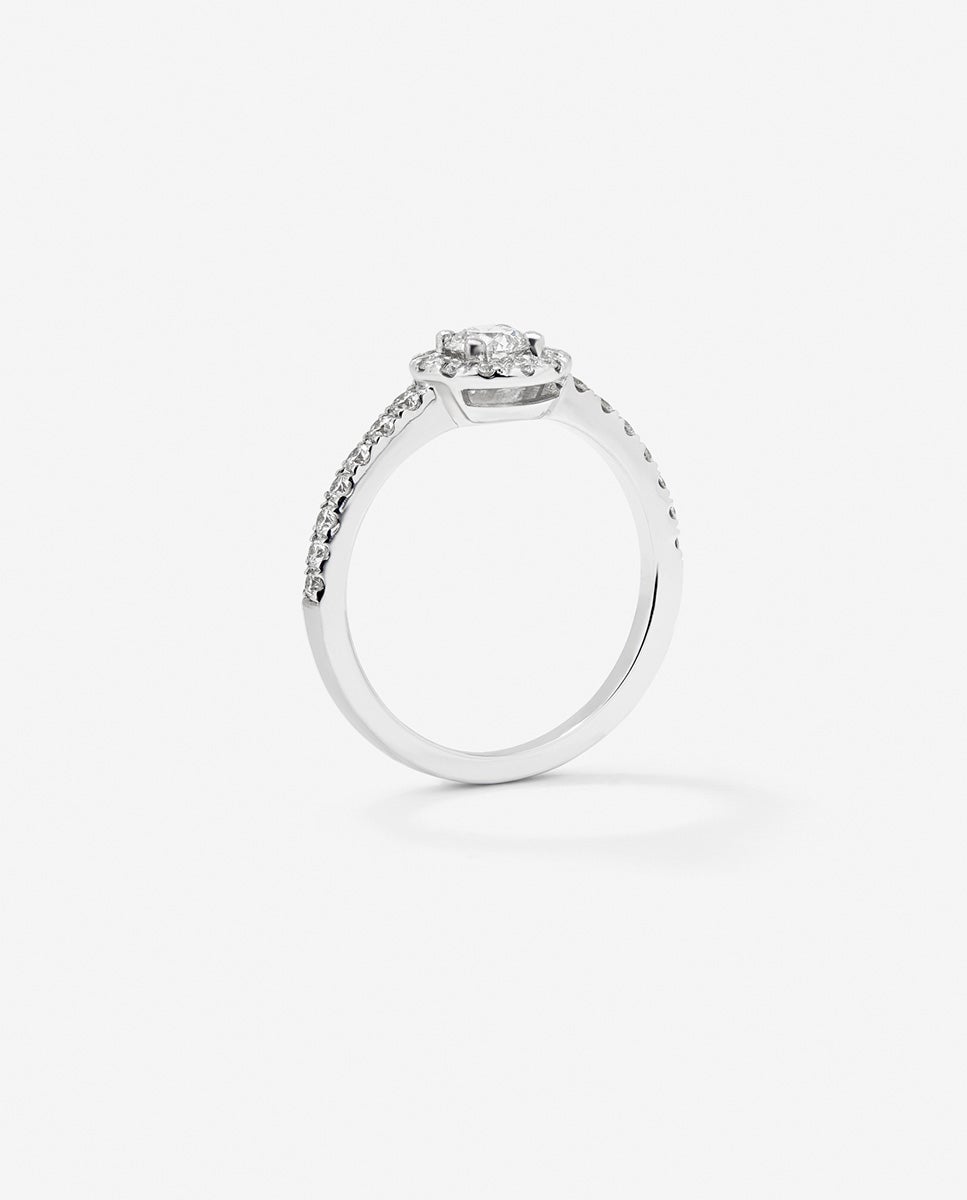 Anillo de oro de 18k con diamante central en talla brillante de 0,15 cts y orla y brazo de 28 diamantes en talla brillante con un total de 0,3 cts - SUAREZ - Blanco Blanco-5
