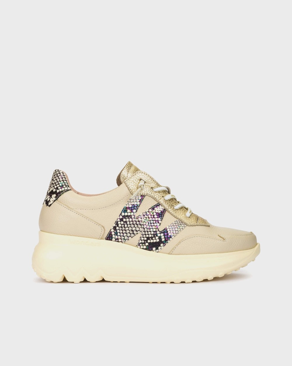 Multicolor