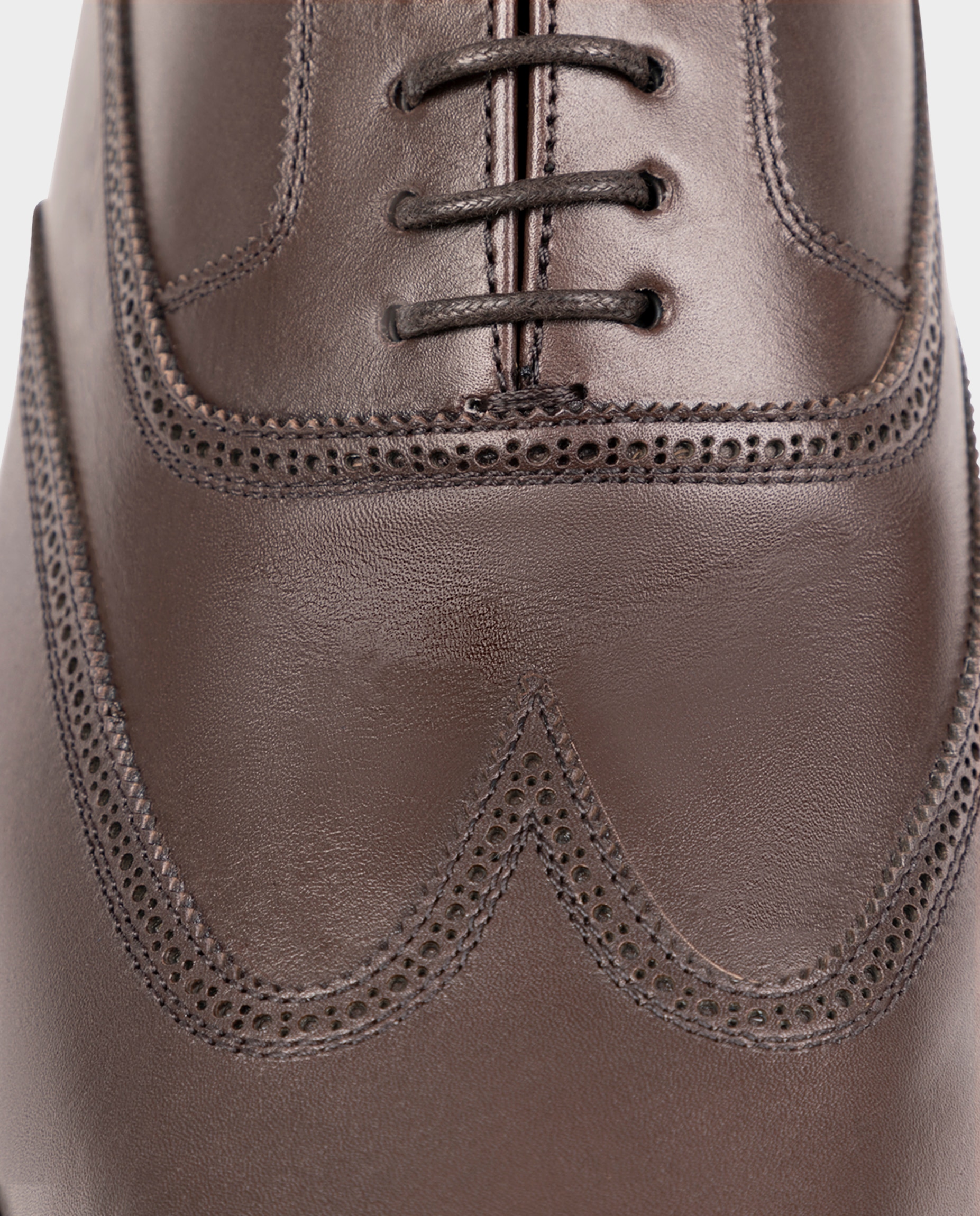 Zapatos oxford wingtip de hombre de piel - Glent - Marrón Marrón-4