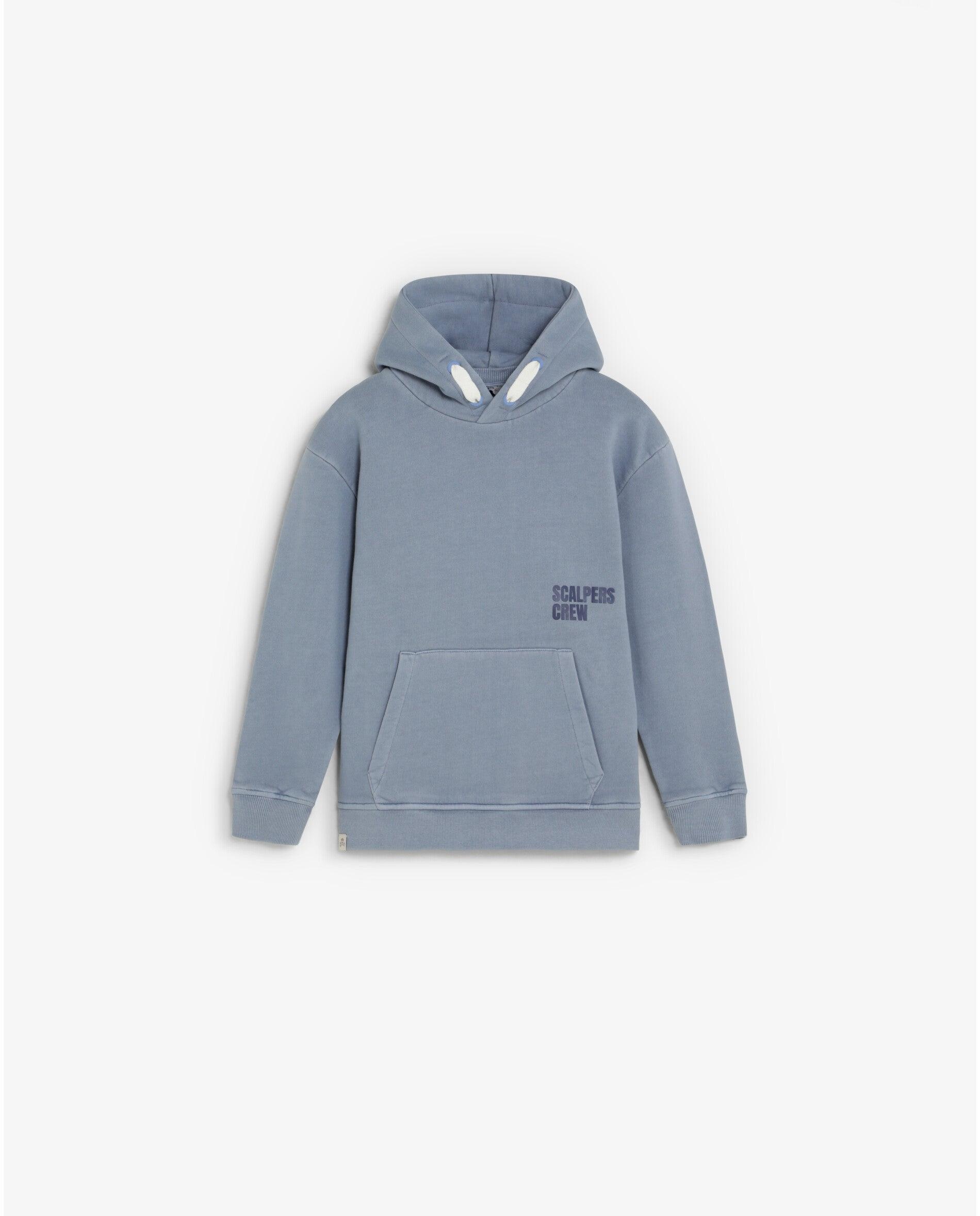 Imagen 0 de Sudadera con capucha de niño efecto lavdado con estampado trasero Azul grisáceo