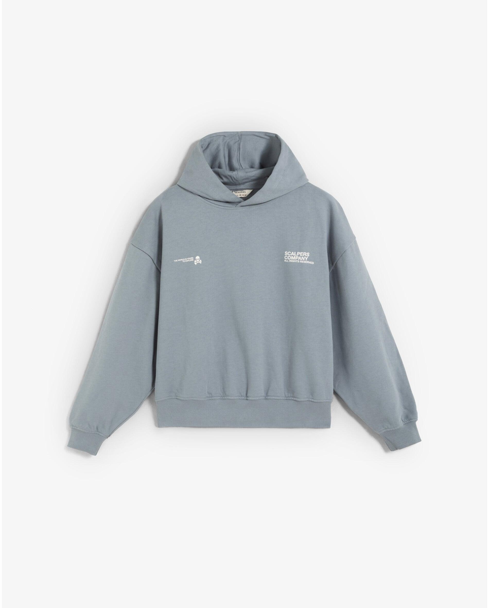 Imagen 1 de Sudadera con capucha de niño con letrero trasero Azul grisáceo