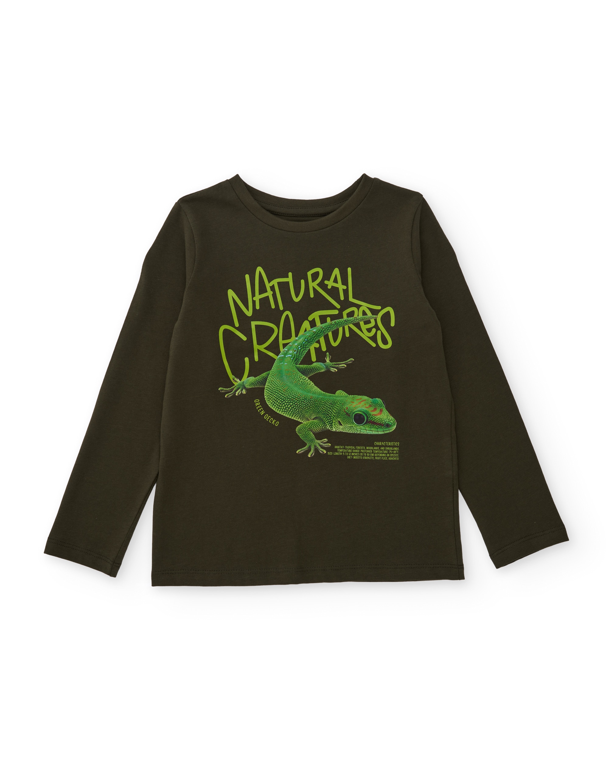 Imagen 1 de Camiseta de niño de punto con diseño de gecko y manga larga Verde Oliva