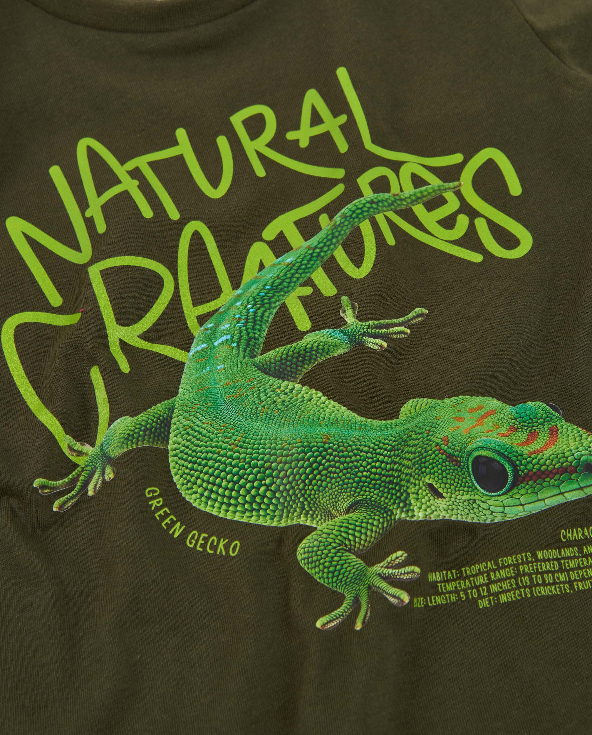 Imagen 4 de Camiseta de niño de punto con diseño de gecko y manga larga - Tuc tuc - Verde Oliva Verde Oliva