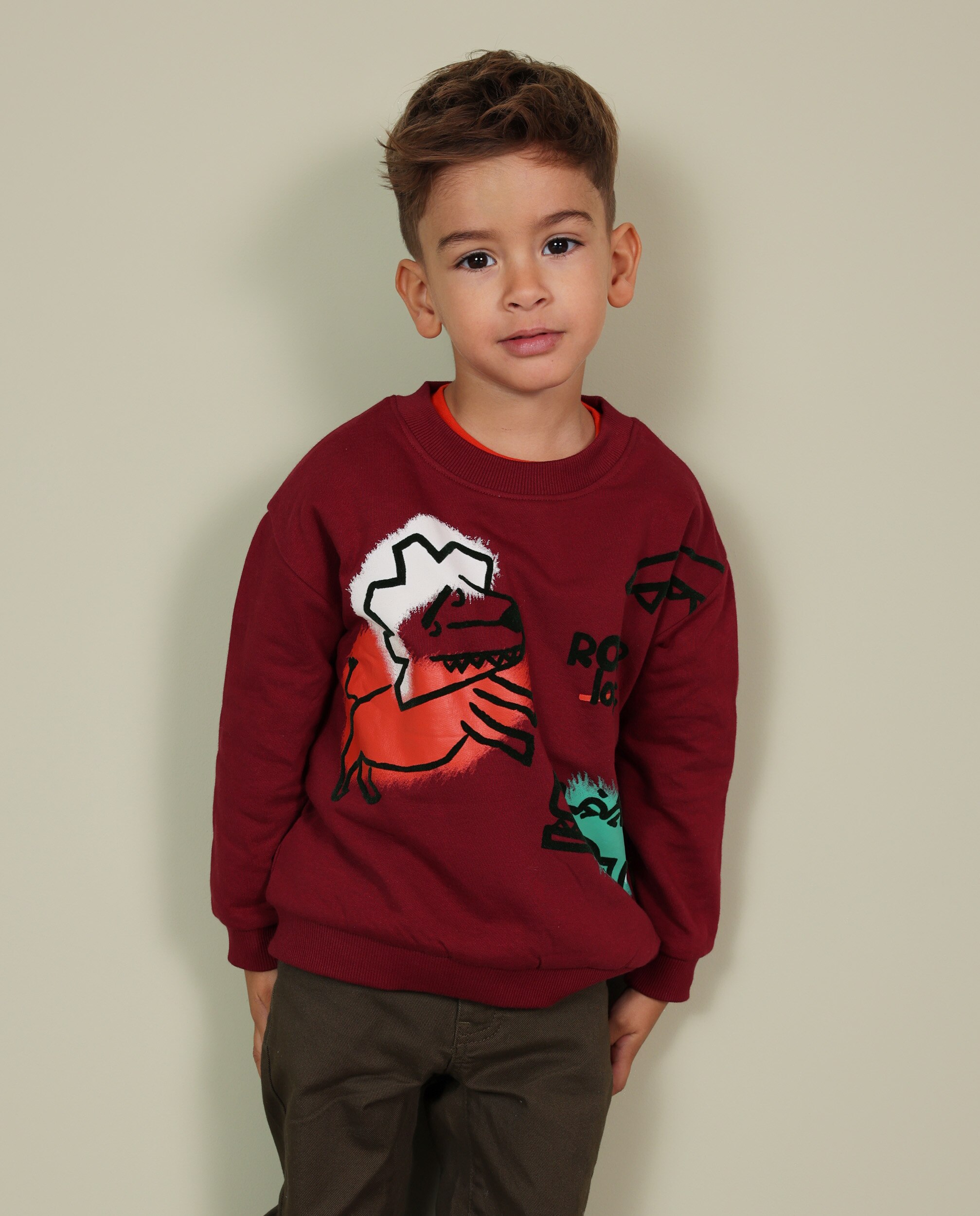 Sudadera de niño de felpa con estampado de animales y tejido cálido - Tuc tuc - Burdeos Burdeos-1
