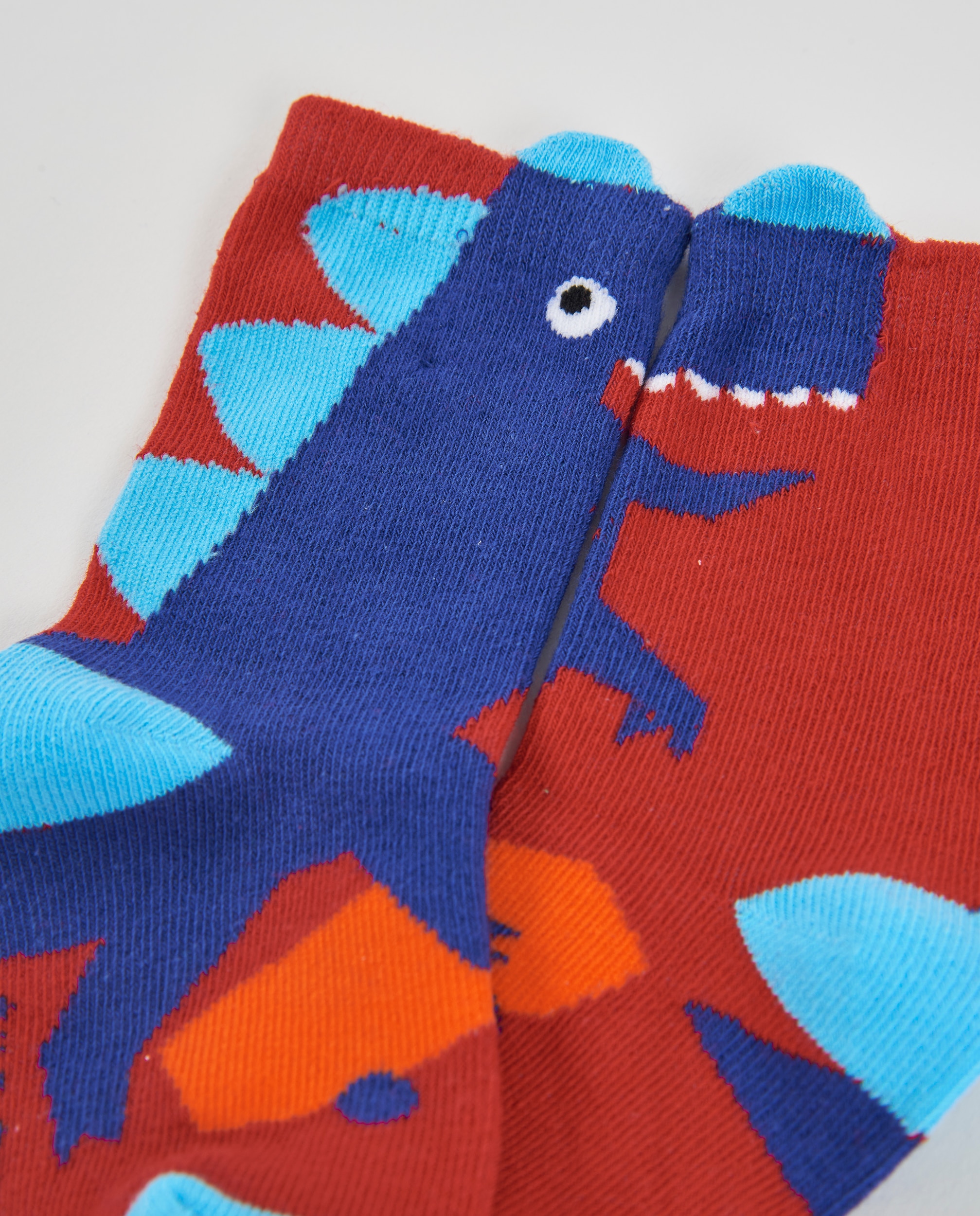 Set de calcetines de niño con estampado de dinosaurios y mezcla de algodón - Tuc tuc - Azul Azul-4