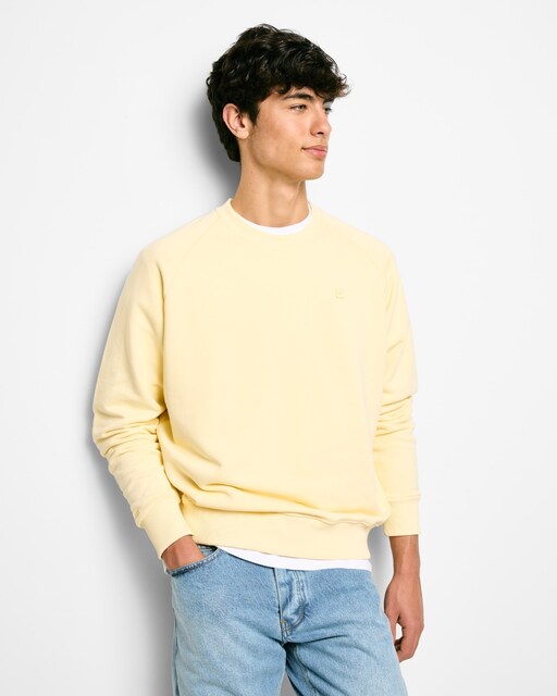 Imagen 0 de Sudadera de hombre special fit miniparche
