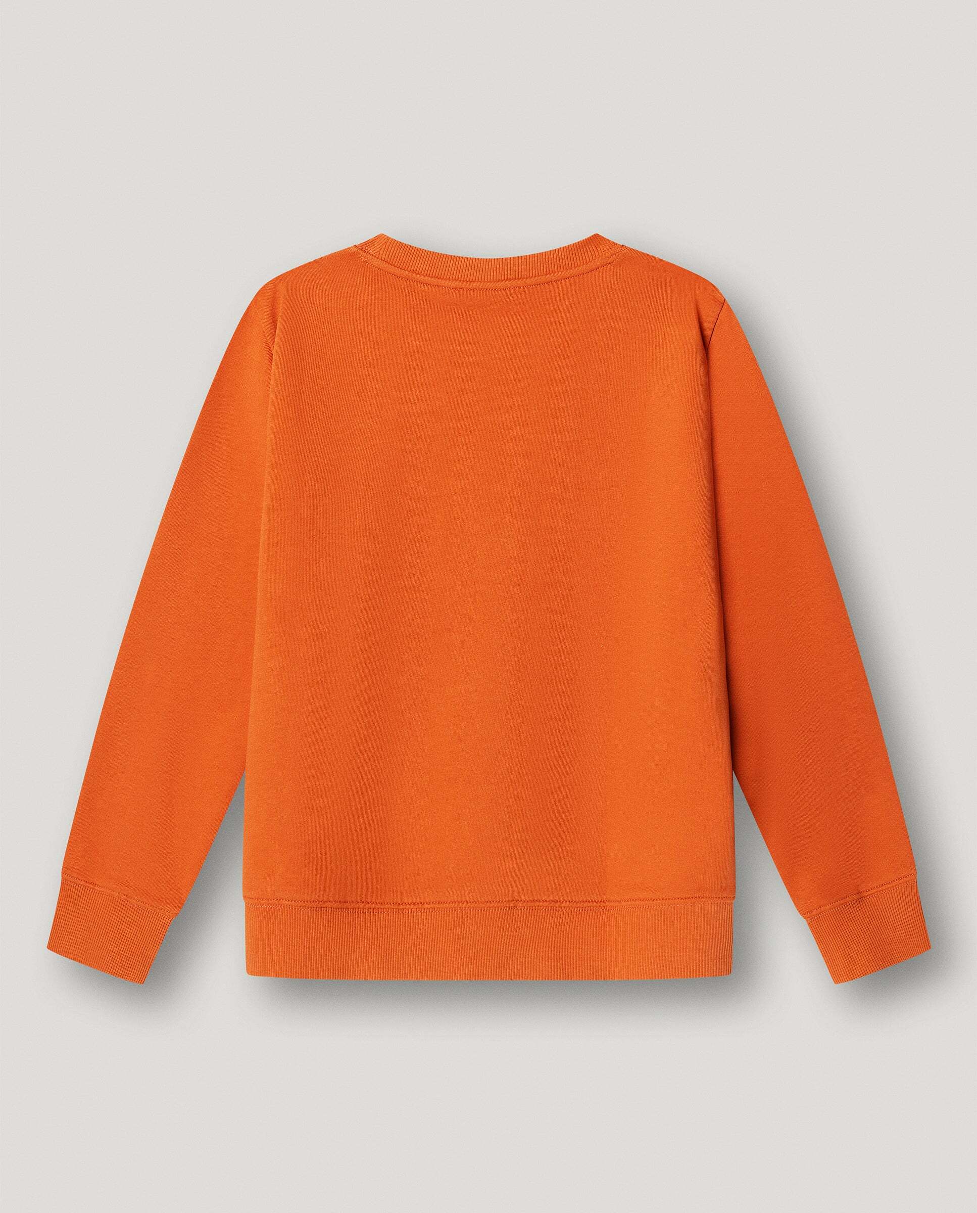 Sudadera de niño Art Crewneck - Pepe Jeans - Naranja Naranja-3