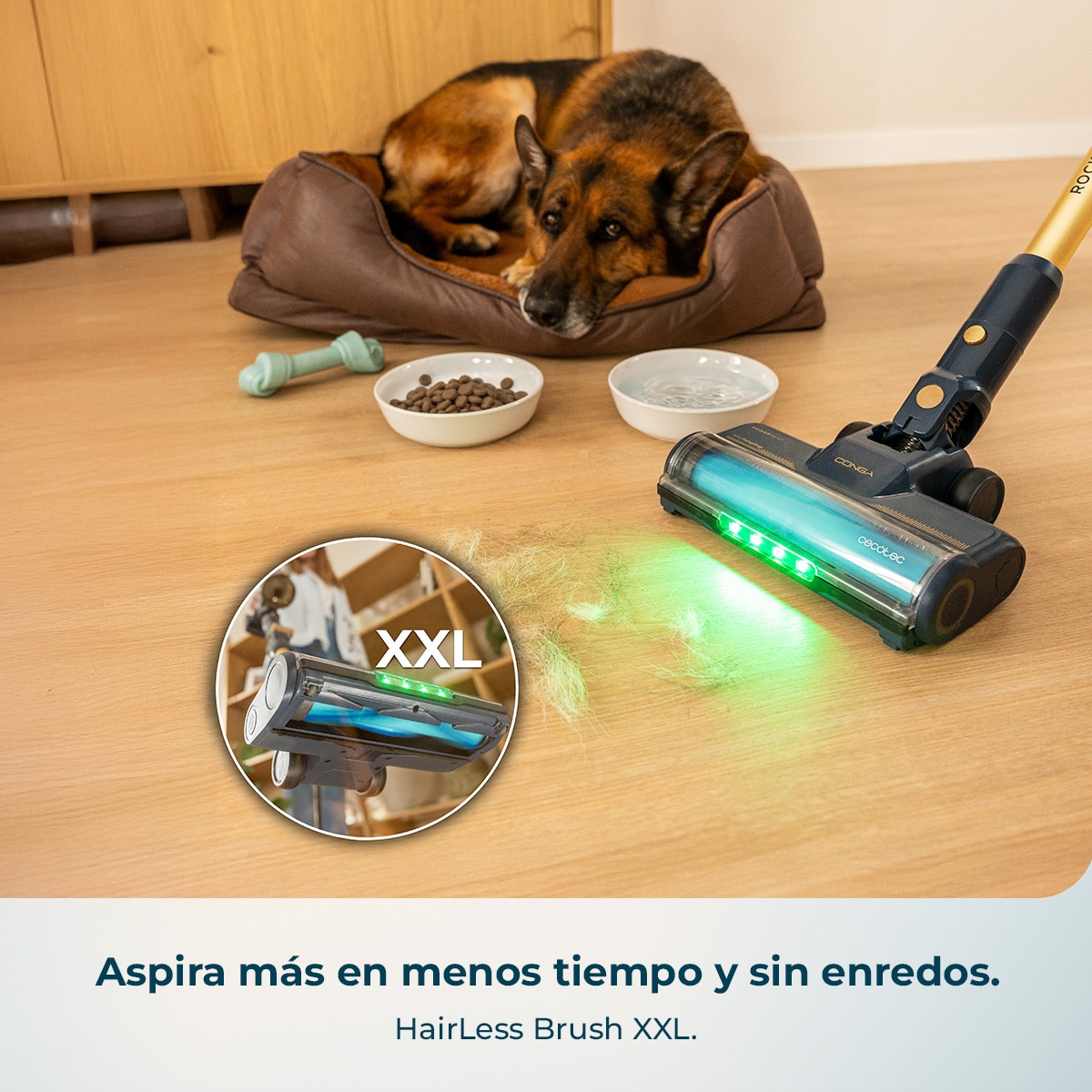 Imagen 4 de Aspirador de escoba BLDC Cecotec Conga Rockstar RS80 Pet Flex Detect - Azul Azul