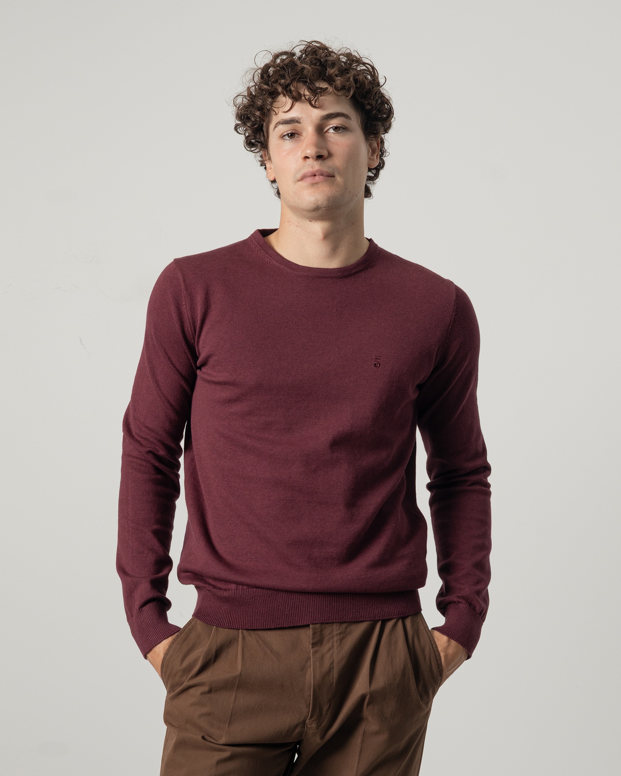 Imagen 0 de Jersey algodón cuello redondo de hombre Burdeos
