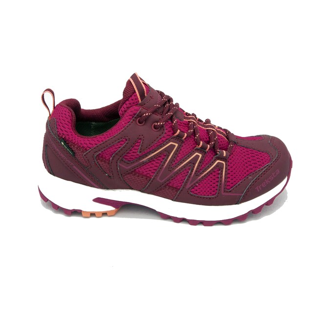 Imagen 0 de Zapatillas de montaña de mujer Dove X GTX TREKSTA