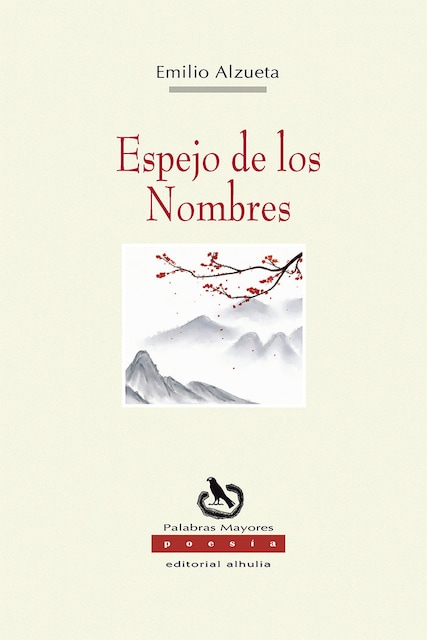Imagen 0 de ESPEJO DE LOS NOMBRES